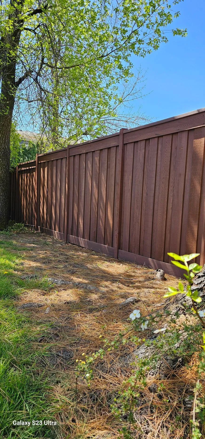 Brown wooden fence along a grassy yard beside tall green trees under a blue sky.
