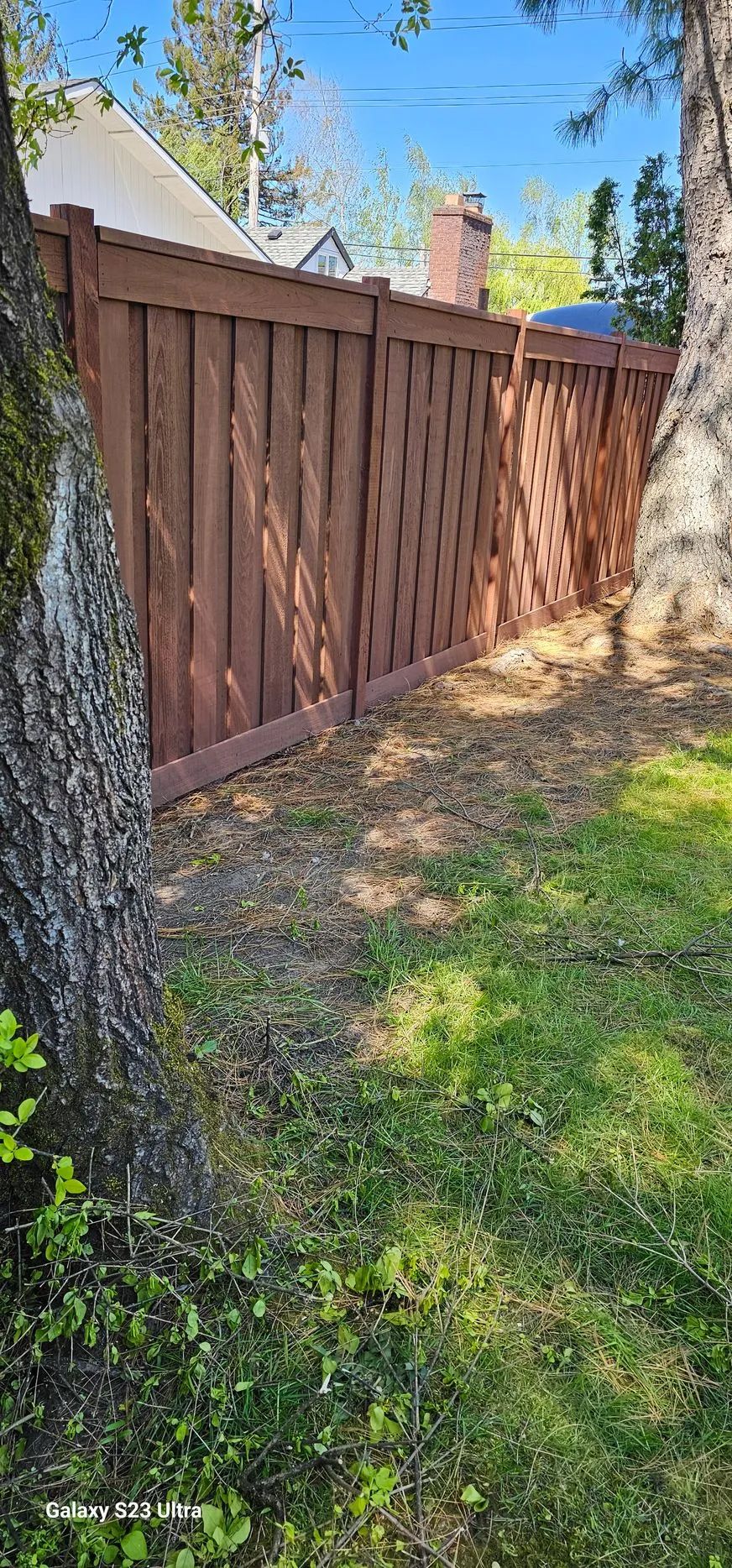Brown wooden fence beside a grassy yard with a tree trunk in the foreground under a blue sky