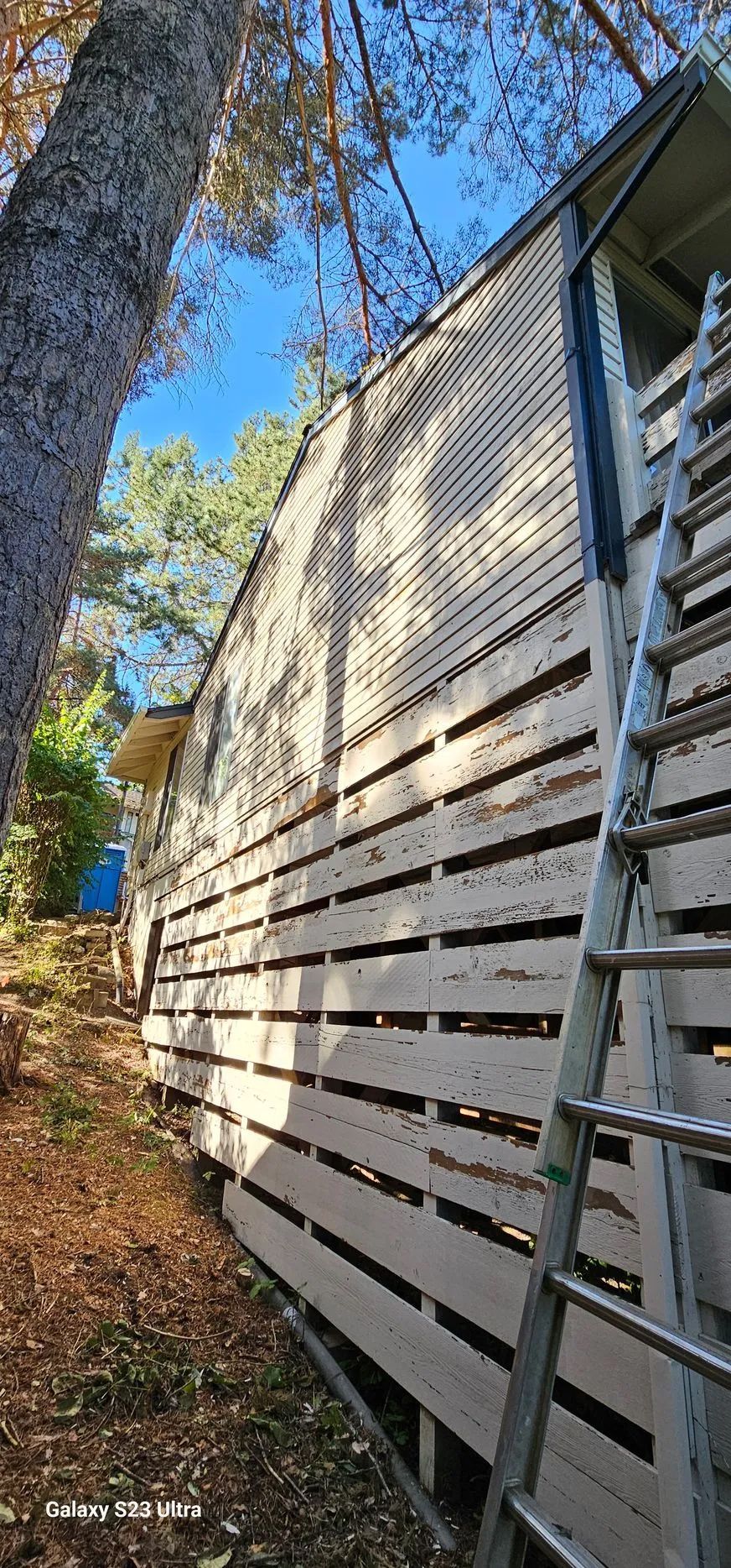 Side view of a house with light siding, stacked ladders, and trees along a sloped leaf-covered yard.