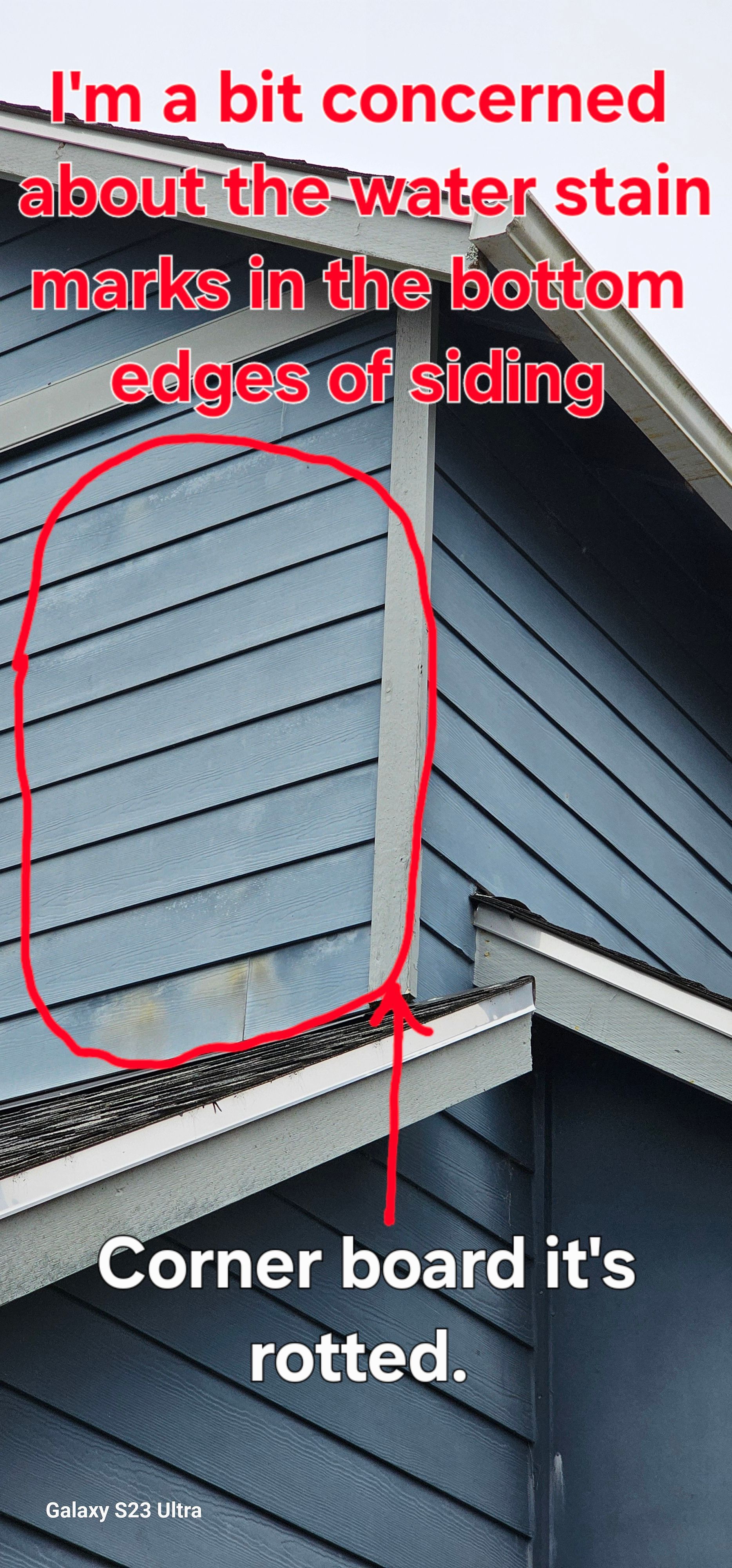 Blue siding with water stains and a rotting corner board.