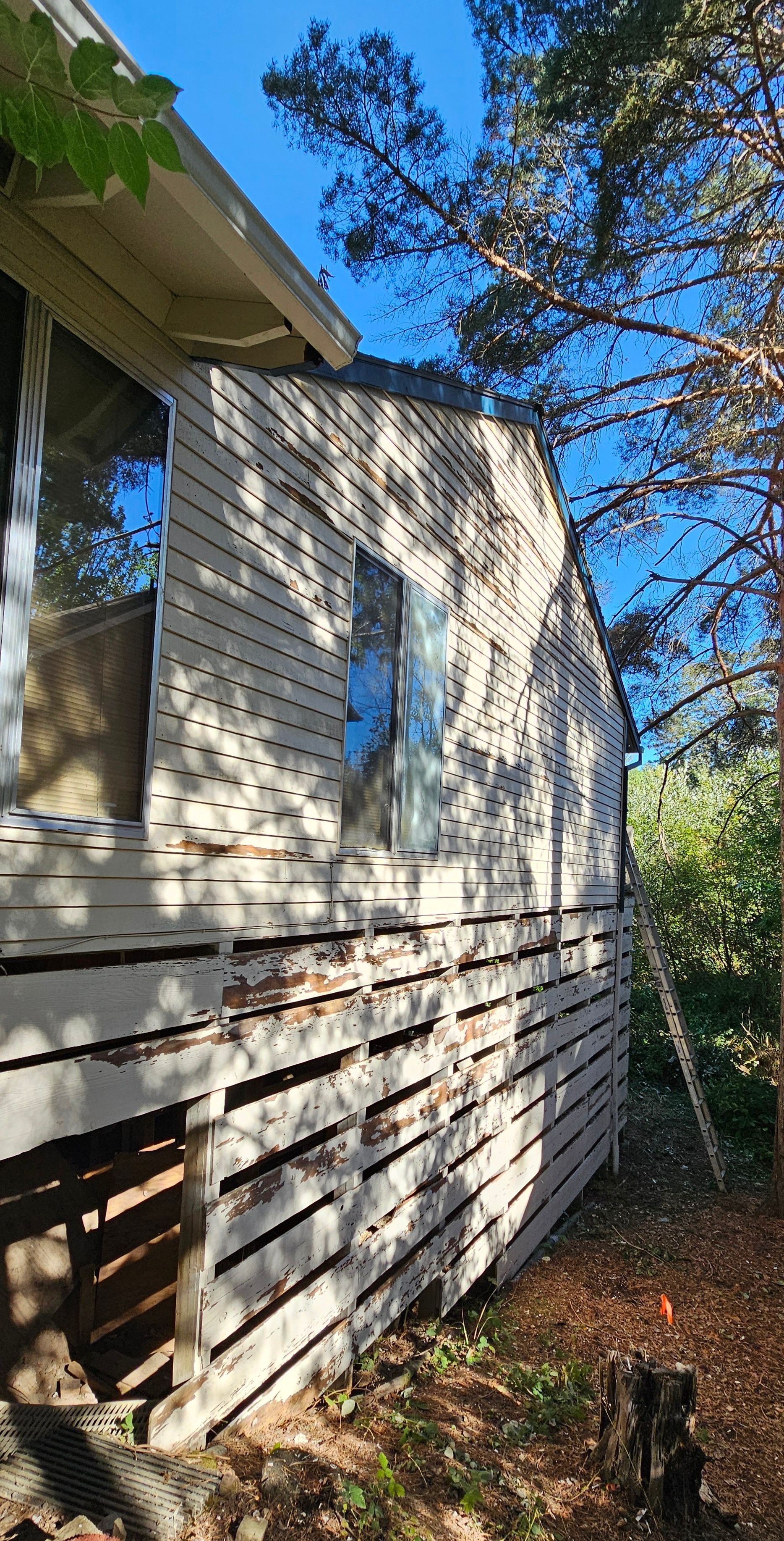 Exterior view of a building with peeling paint. Sunlight on the wood siding and a partially visible window.