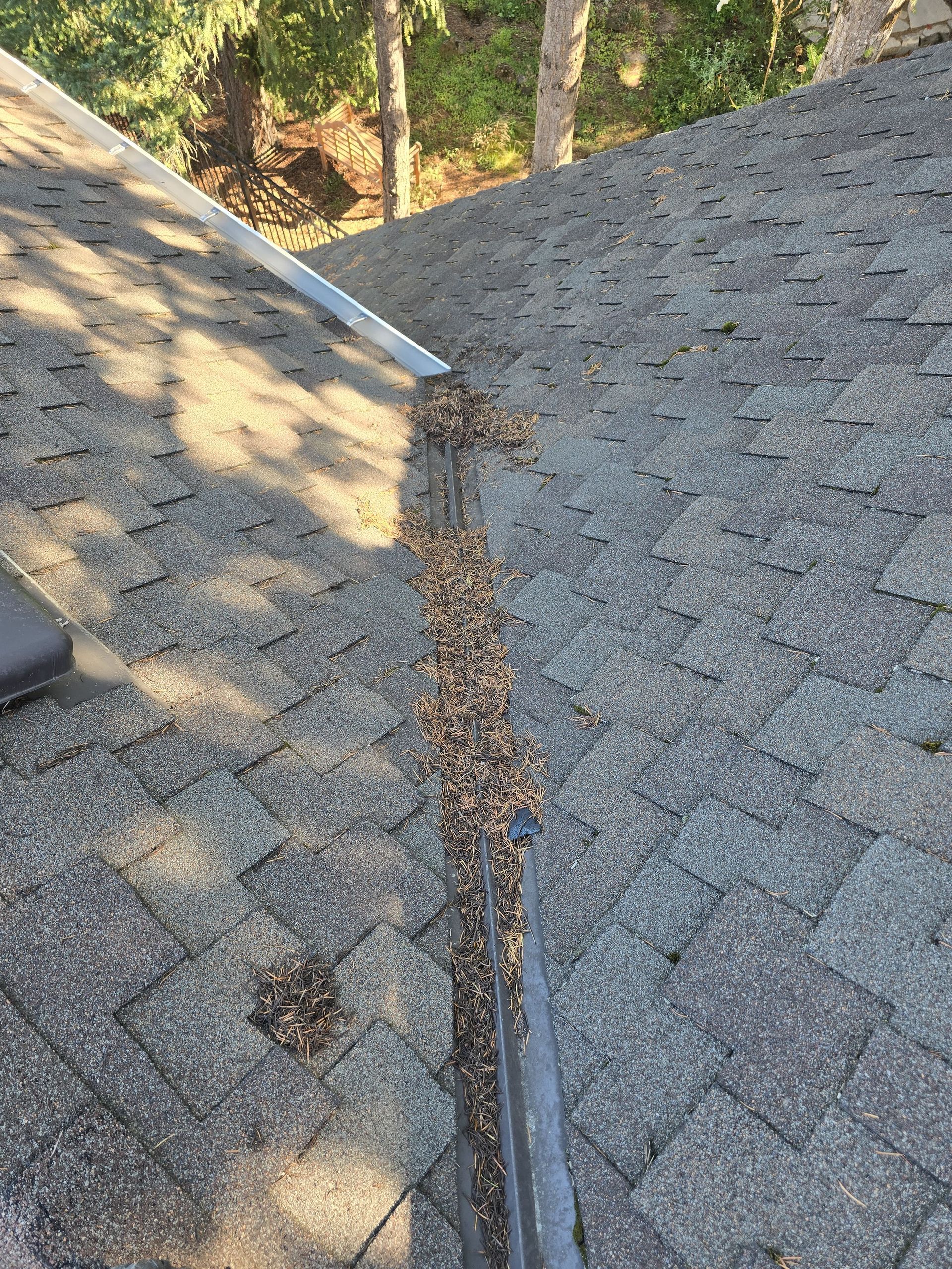Roof with debris-filled gutter. Sunlight casts shadows on shingles.