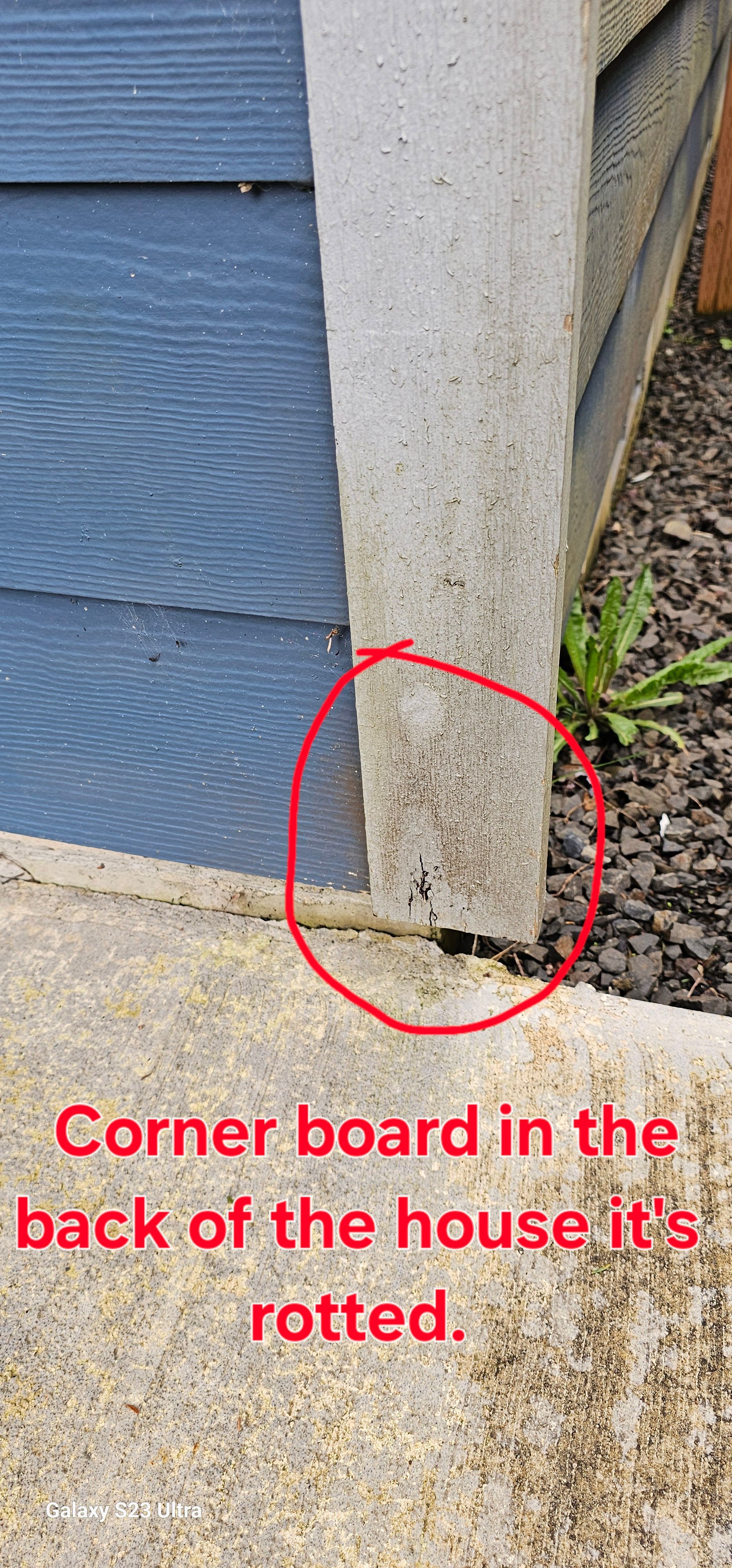 Rotted corner board on the back of a house. Blue siding, concrete edging, and dirt are visible.