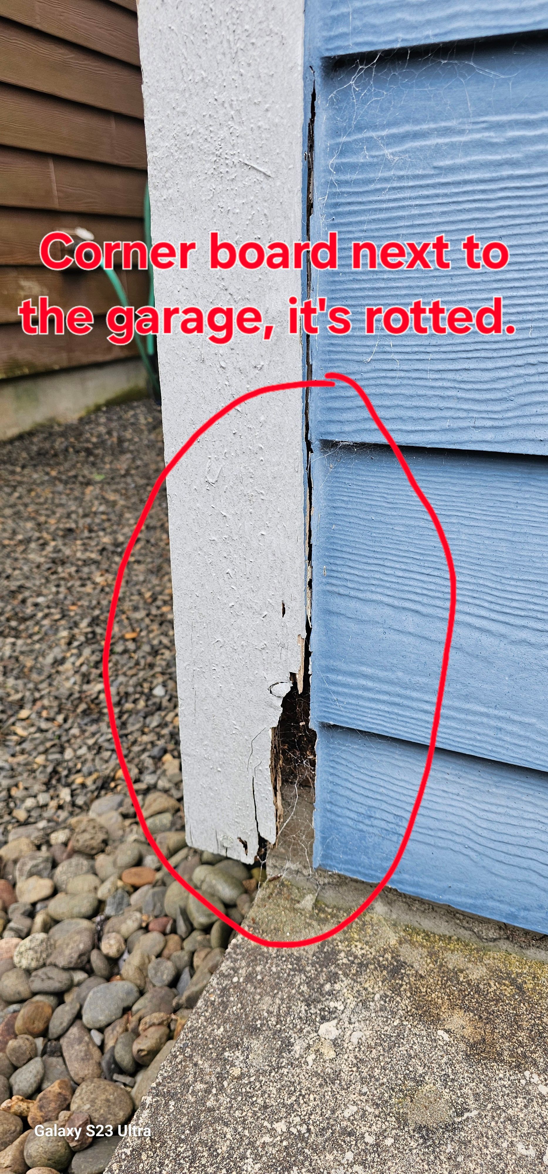 Rotted white corner board next to blue siding and concrete. Surrounded by rocks.