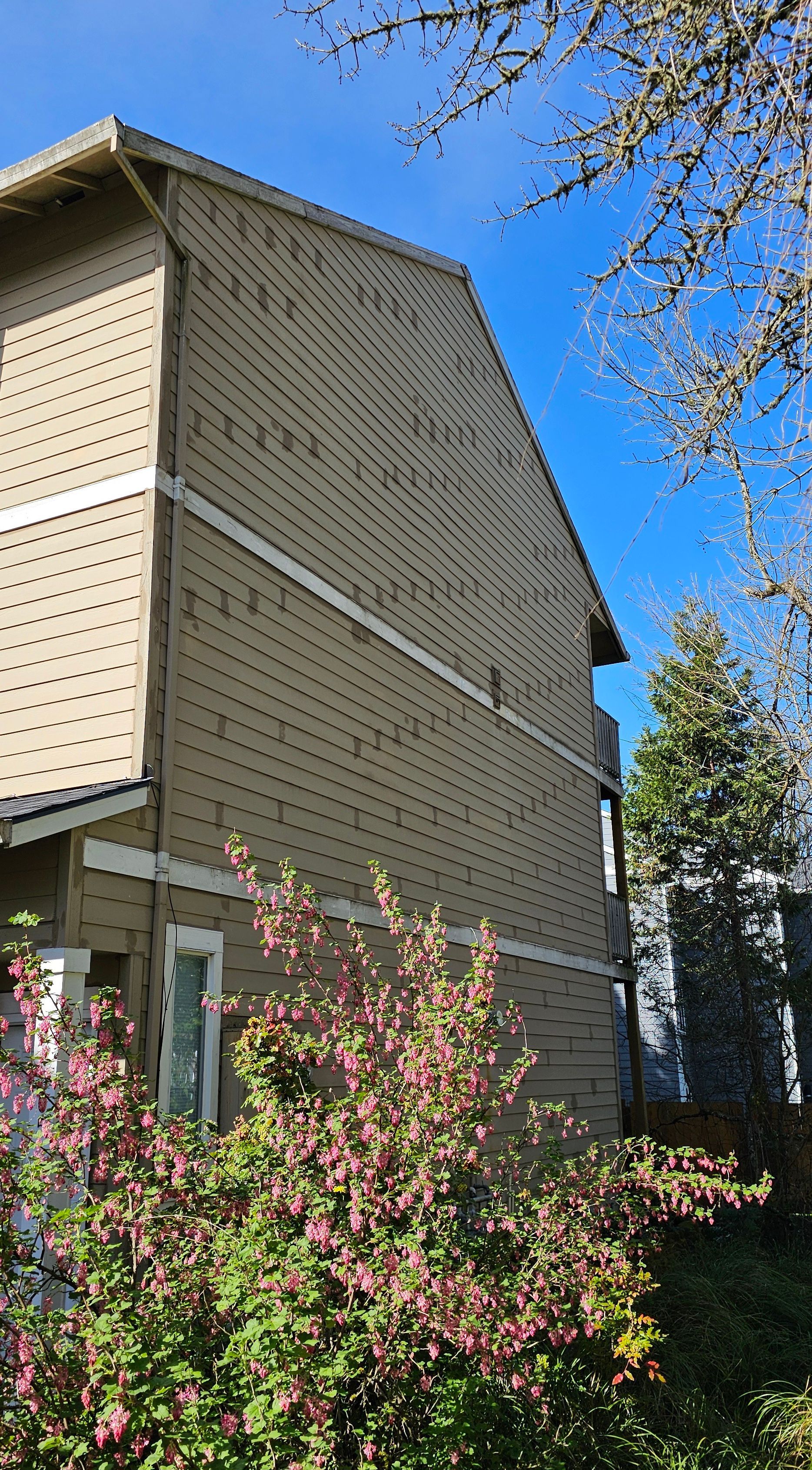 Tan building with horizontal siding, white trim, and a blue sky behind flowering bushes.