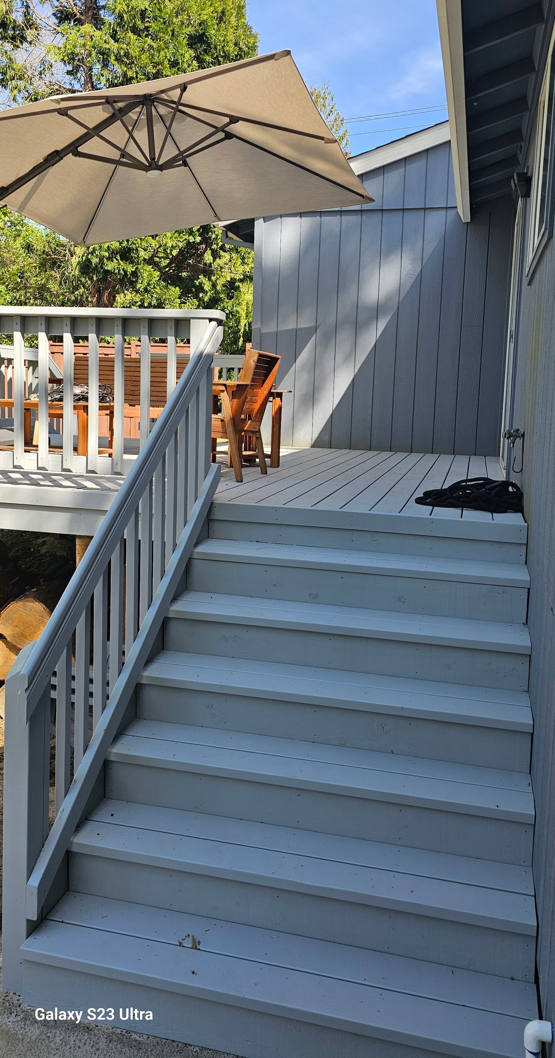 Dog standing on a wooden deck with stairs, under an umbrella. Grey and brown tones.