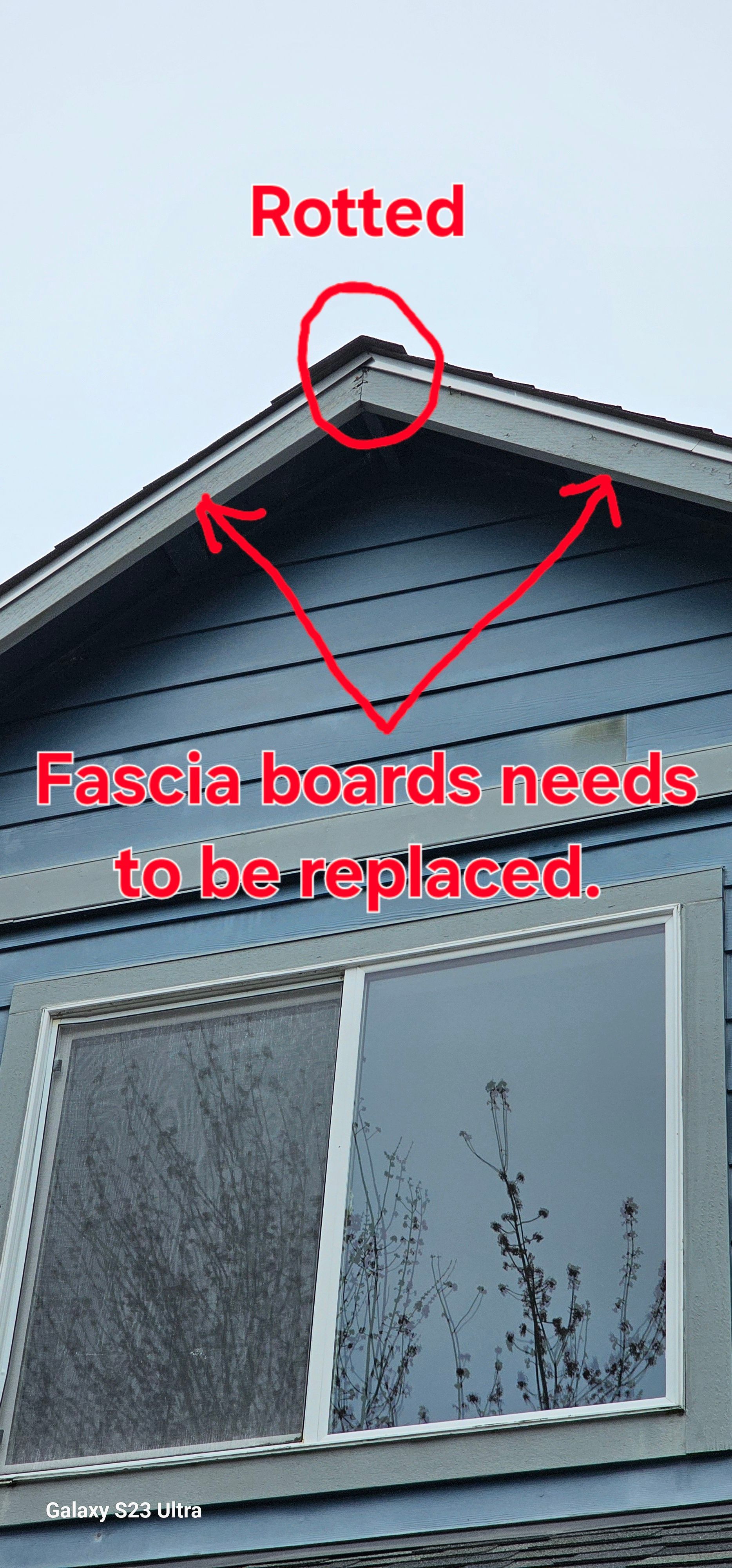 A blue house with a window and a roof that has rotted fascia boards that need to be replaced.