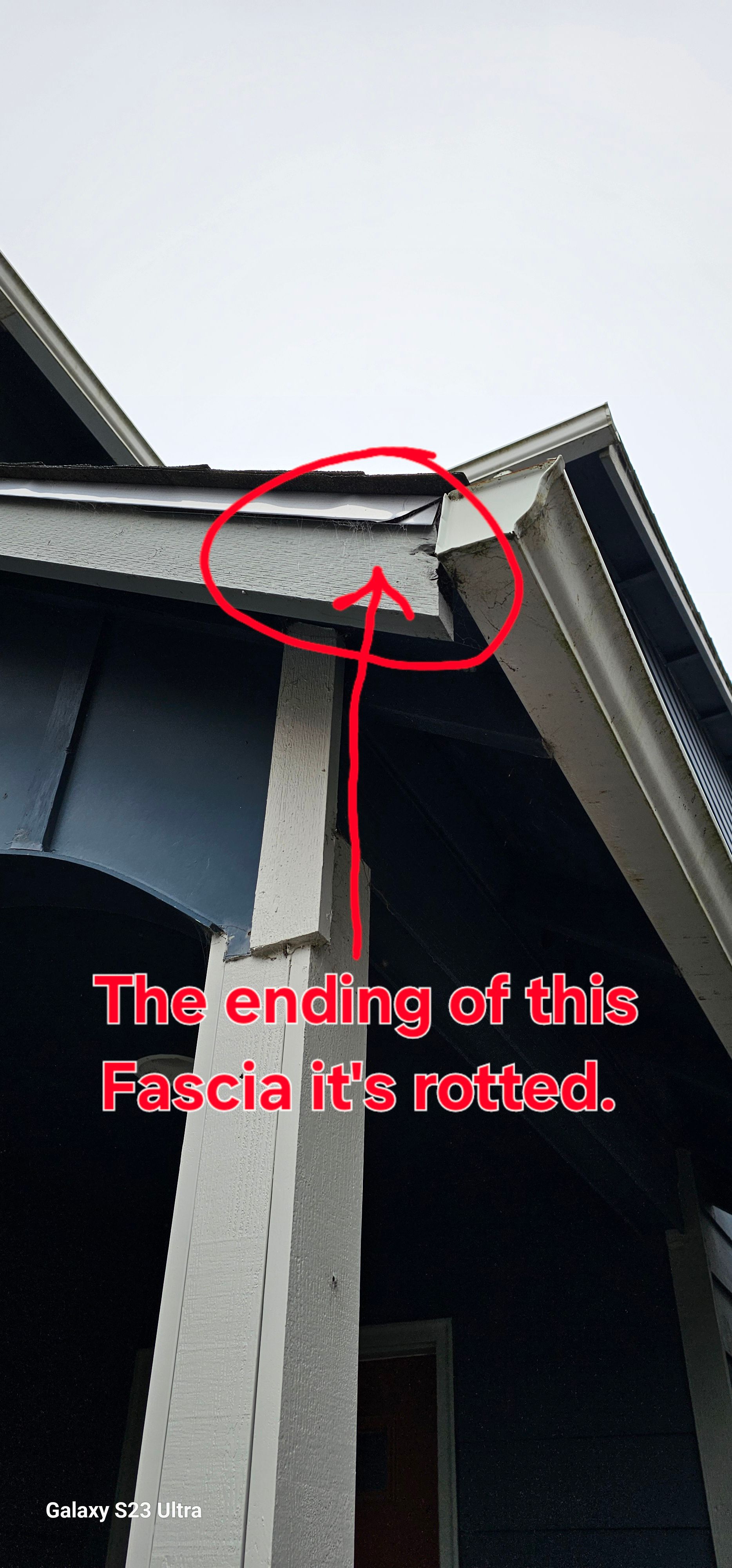 A close-up view of a house's fascia that is rotted and damaged, marked with a red circle and arrow.