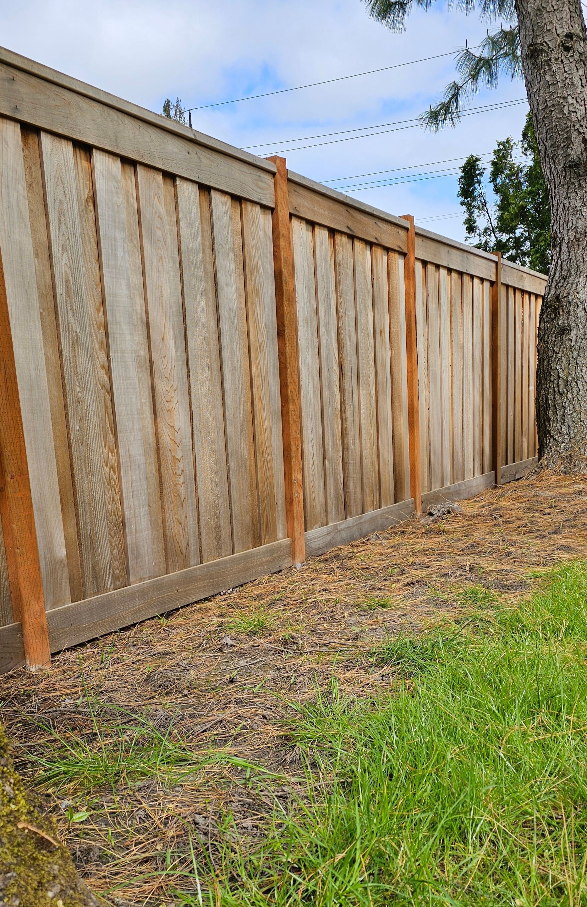 Wooden fence next to a tree and grass, under a partly cloudy sky.