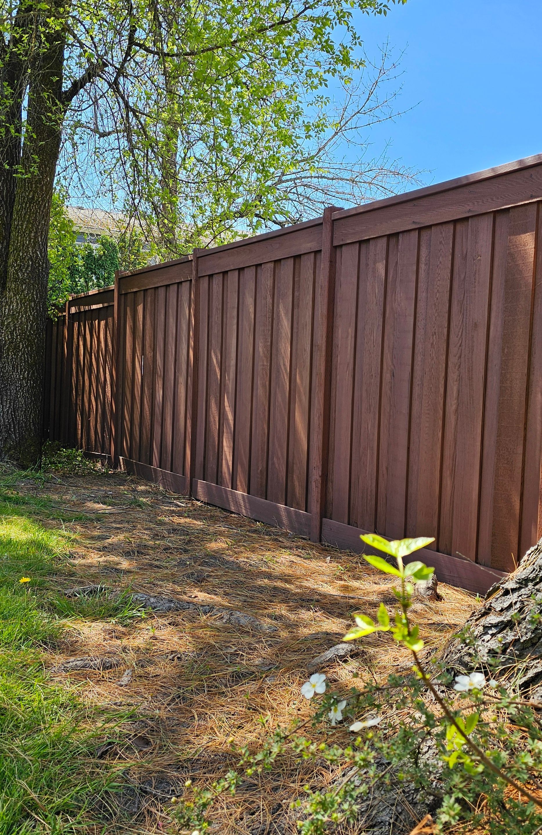 Brown wooden fence in a yard with trees and green grass.