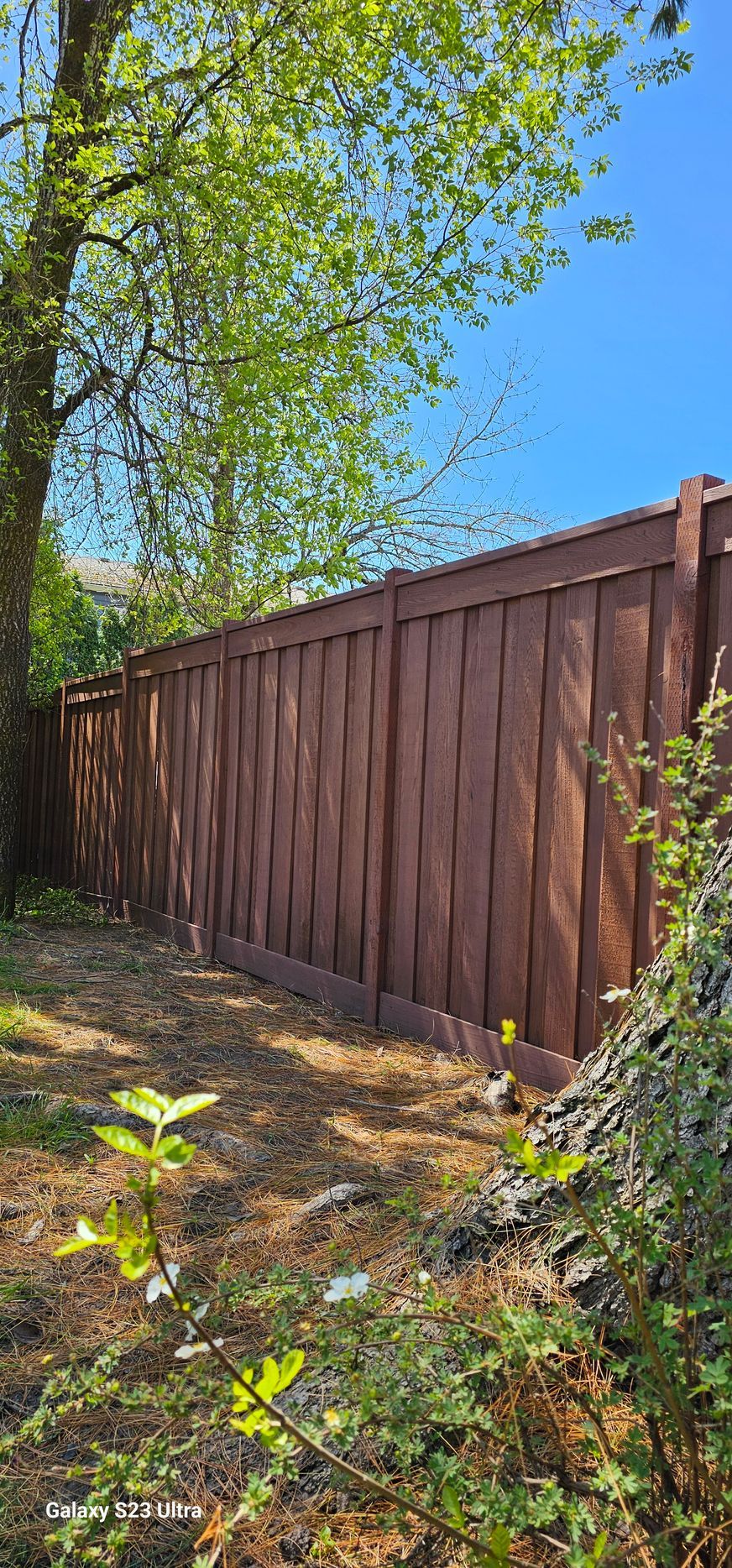 Brown wooden fence in a yard, under a blue sky, surrounded by trees and greenery.