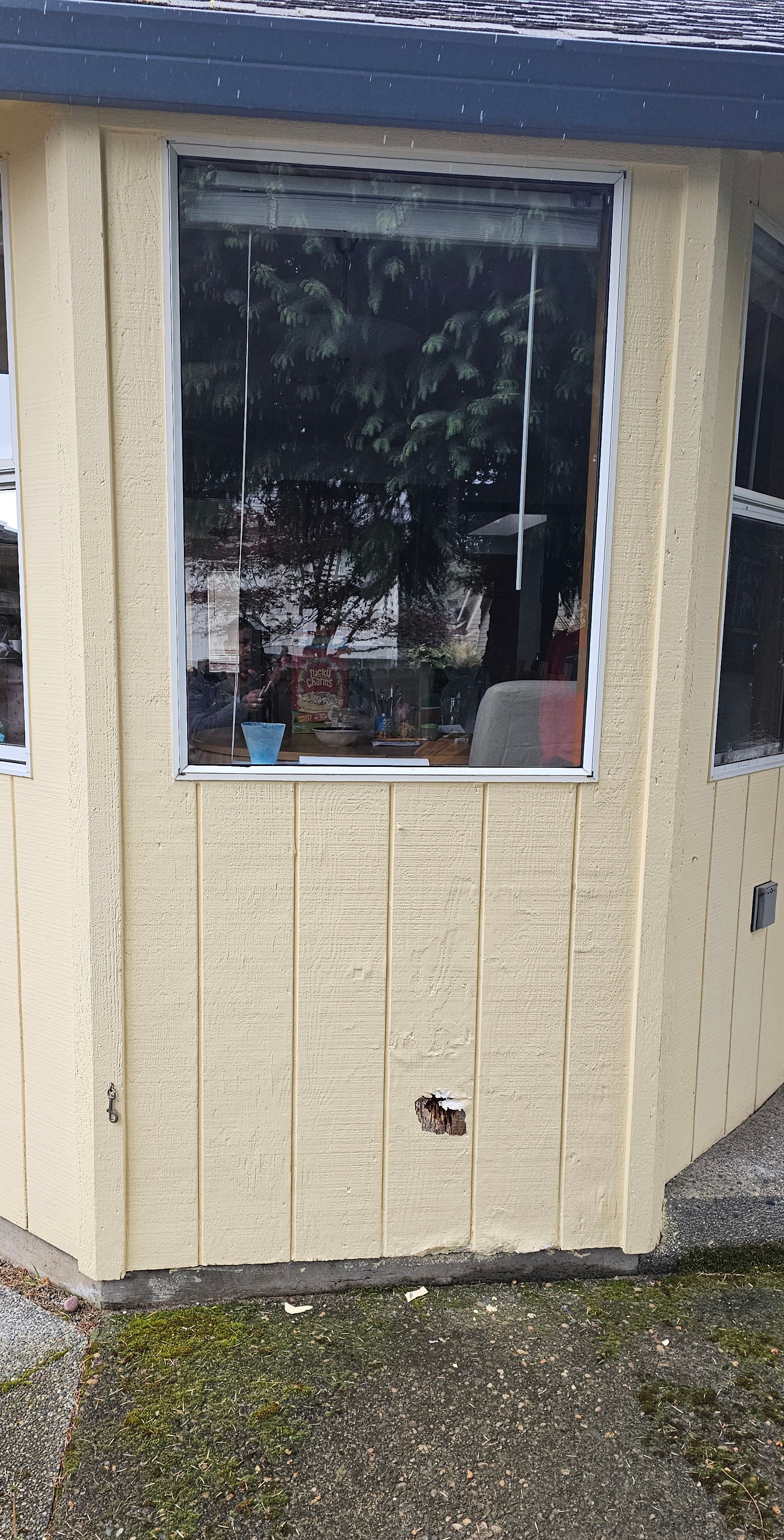 Yellow building with window reflecting trees. Exterior view with damaged stucco and moss at the base.