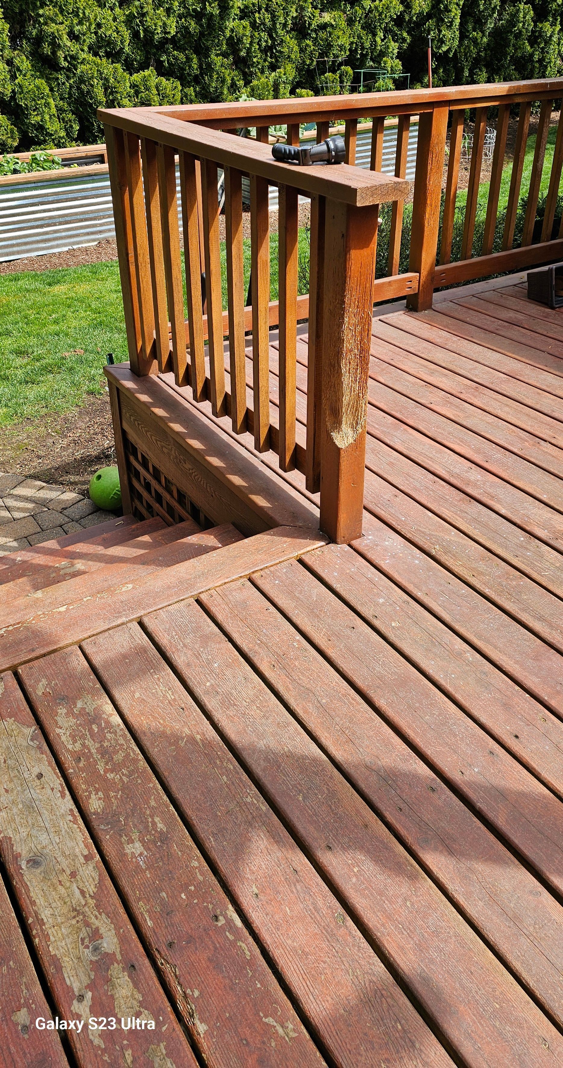 Wooden deck with railings and steps, stained reddish-brown. Overgrown with lichen, and weathered.
