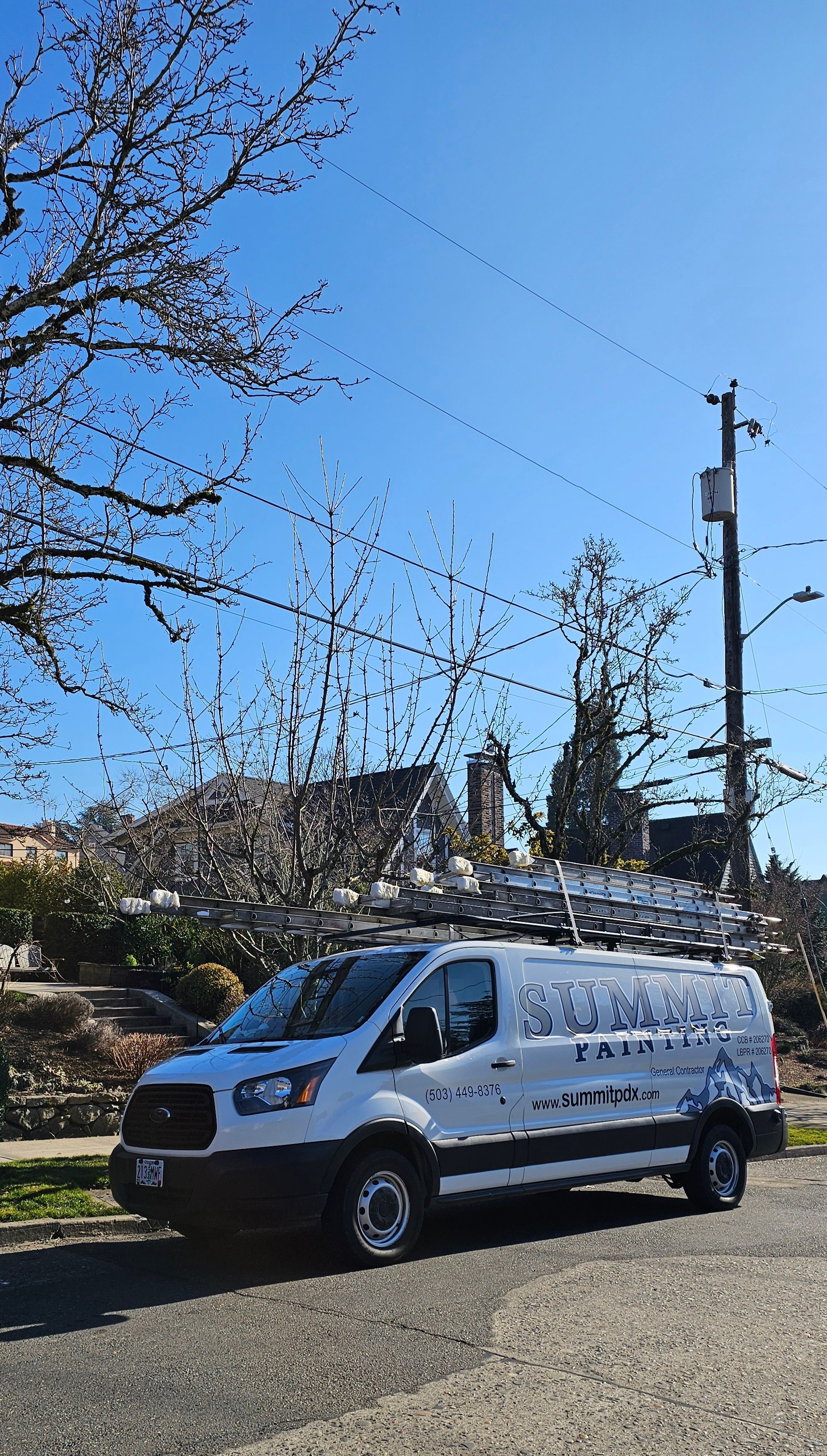 White service van parked on street with bare trees and buildings in background.