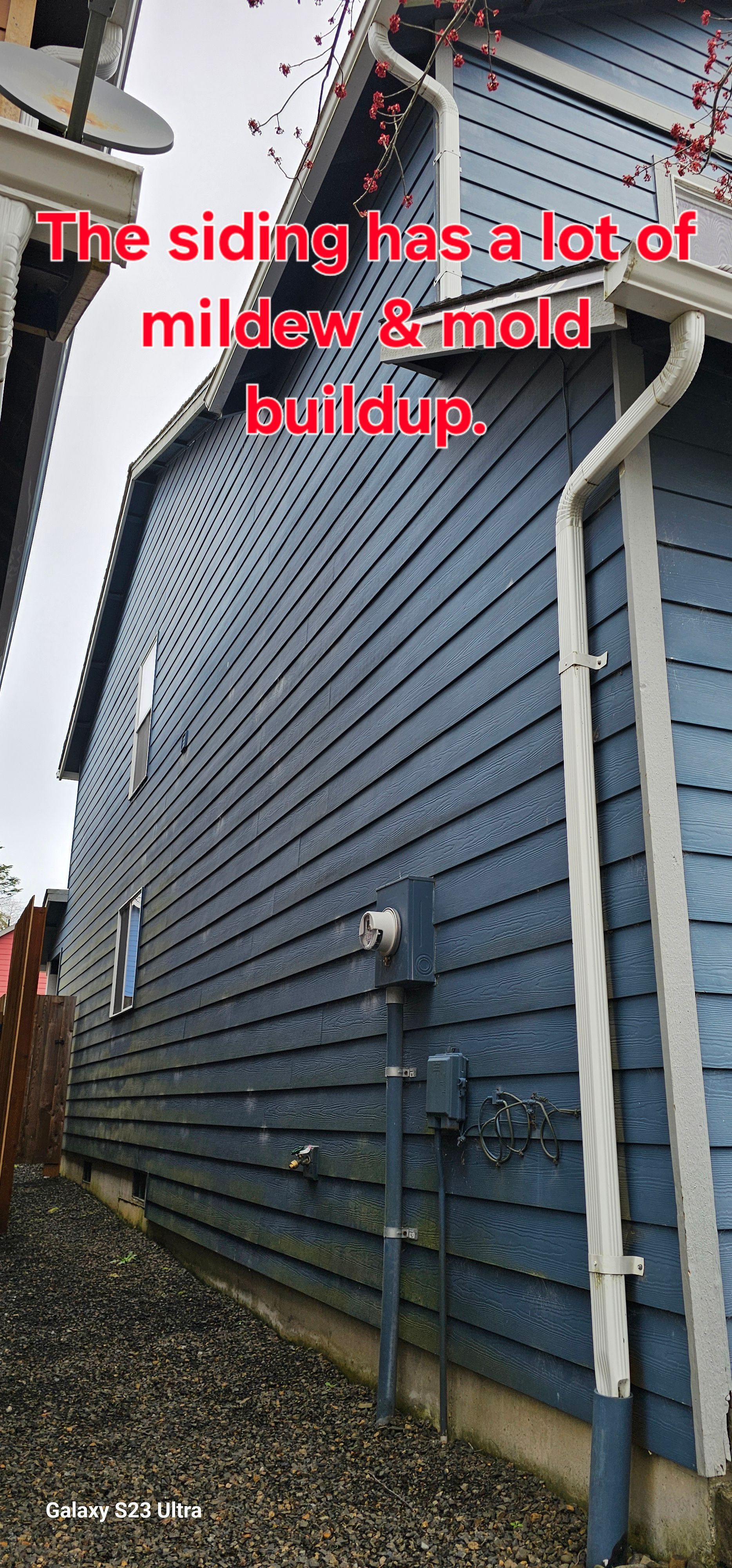 Blue siding with mildew and mold buildup on a residential home.