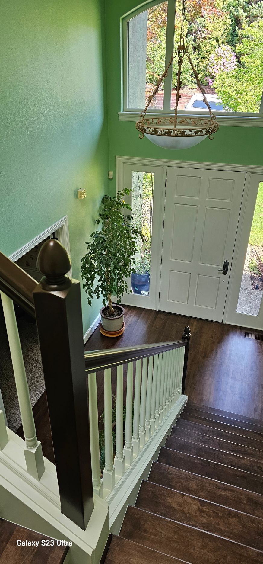 A staircase with brown steps and white banisters. A tall plant sits inside the entryway near a white door and green walls.
