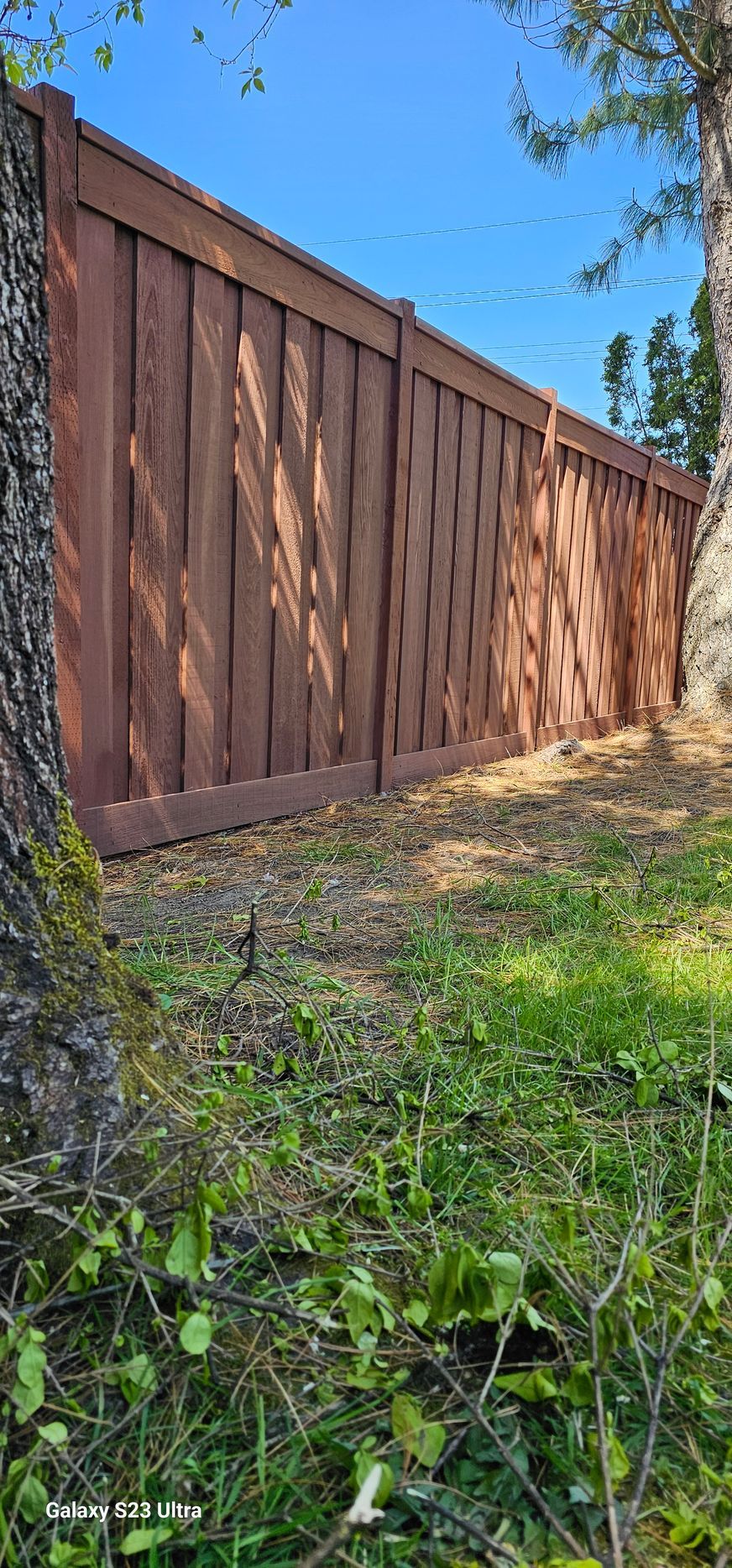 A brown wooden fence stretches into the distance, with trees on either side and green grass in the foreground under a blue sky.