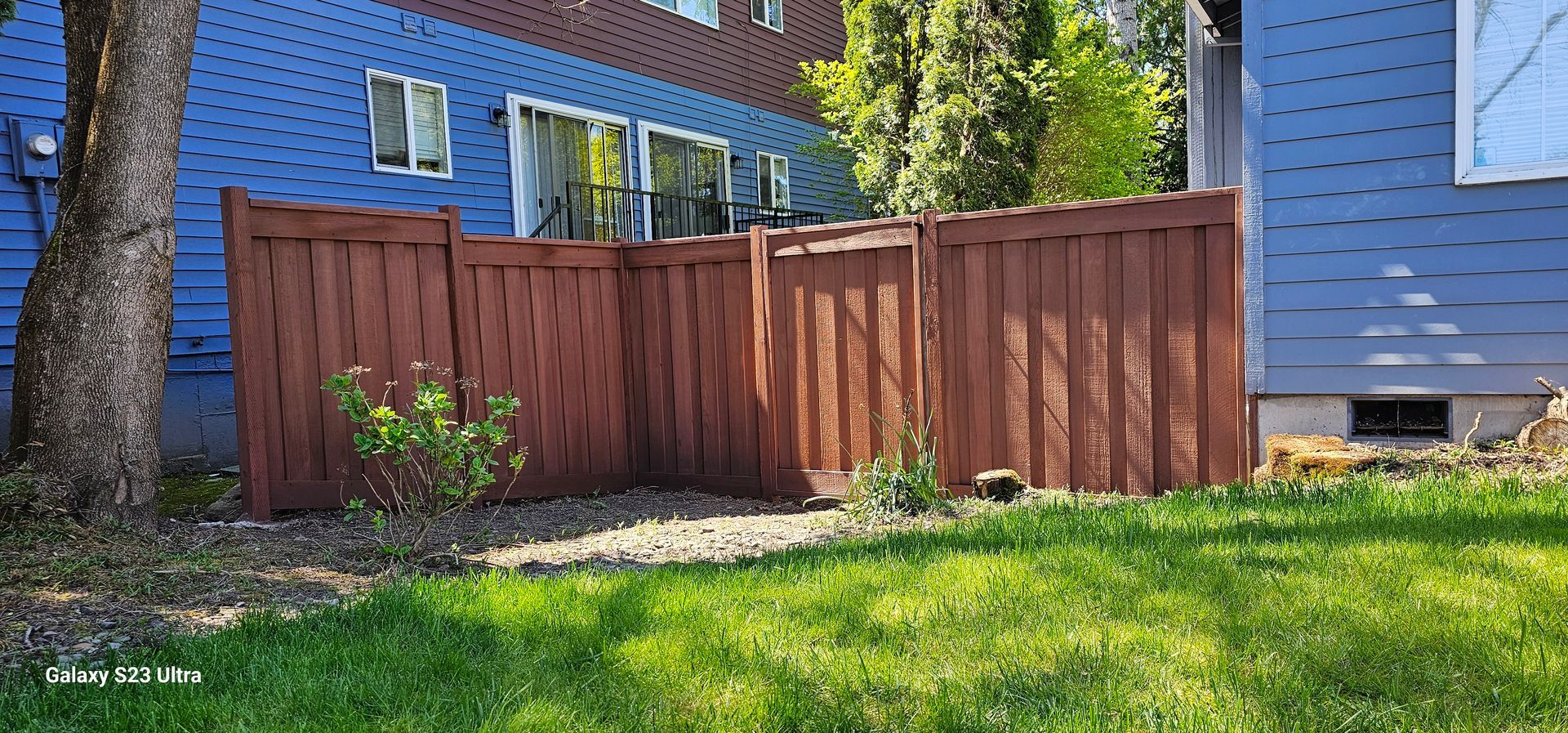 Brown fence in front of a blue house with grass and a tree.