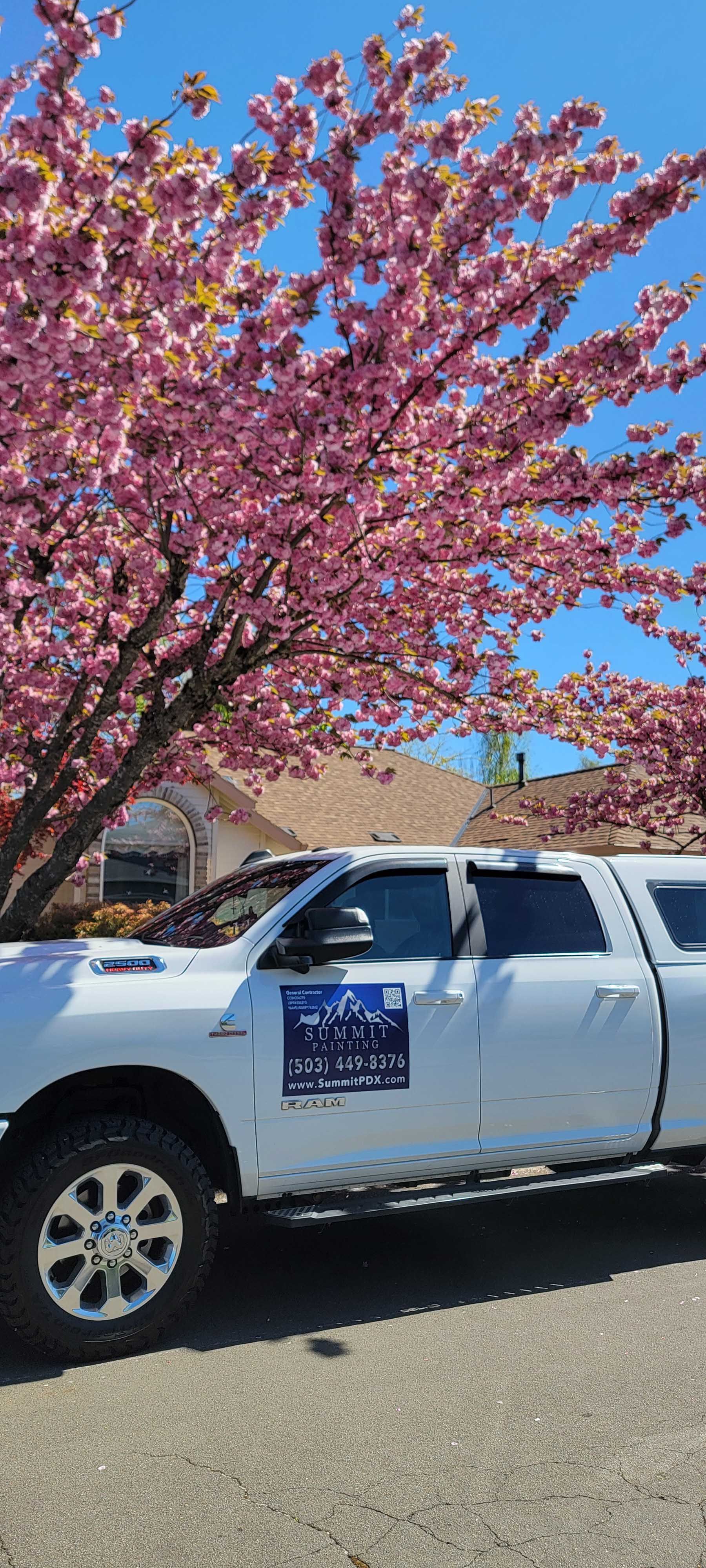 White pickup truck parked under a flowering cherry tree on a sunny day.