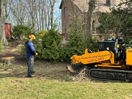 Viking Stump Removal
