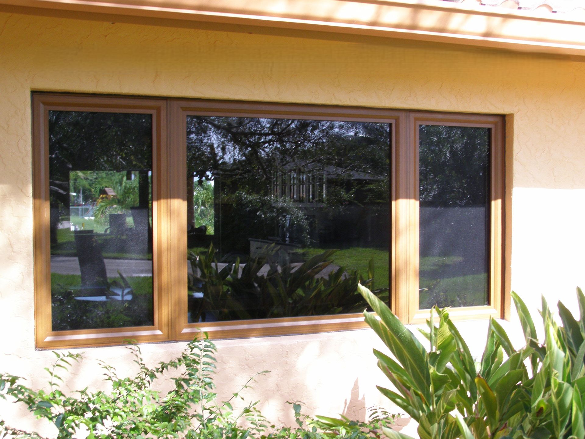 A wide, three-panel window with a brown frame reflecting a green, outdoor garden setting on a stucco wall.