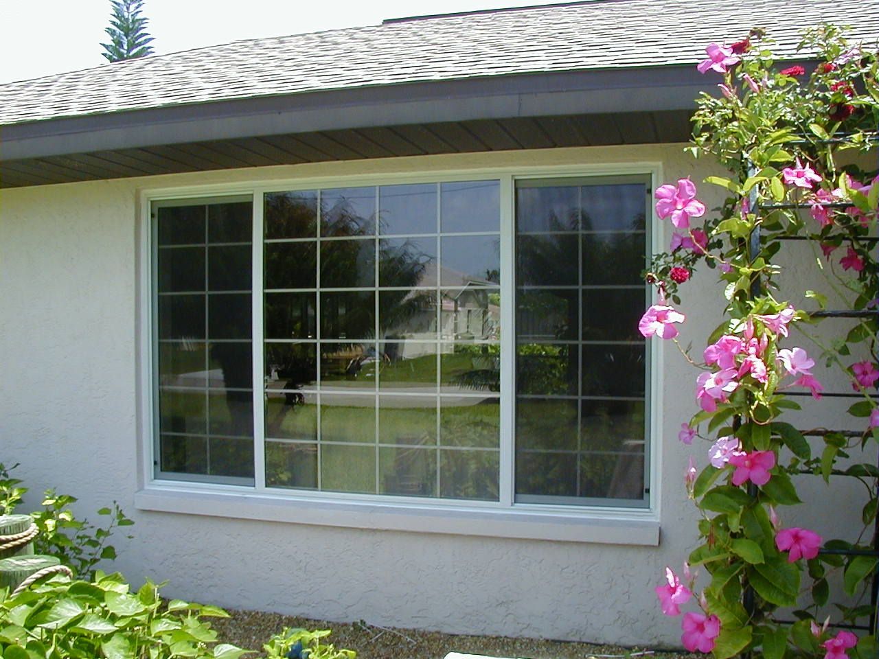 Large white-framed, triple-panel window with grid dividers on a cream-colored exterior wall beside a blooming vine.