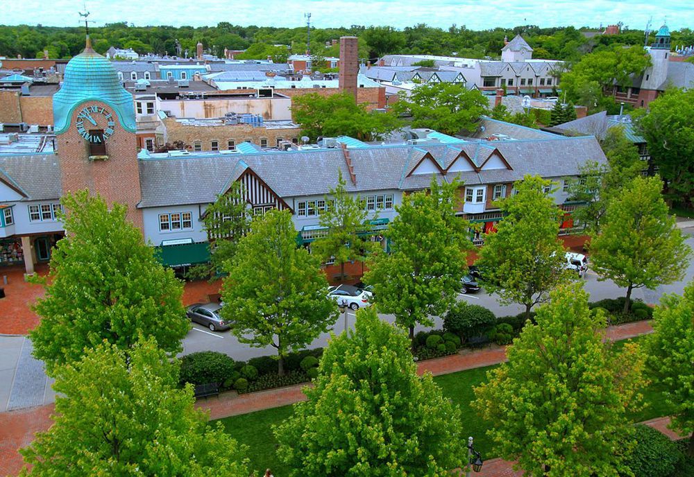 aerial view of trees and homes in lake forest, il
