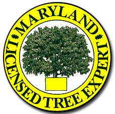 maryland licensed tree expert logo