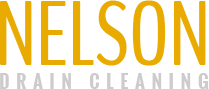 Nelson Drain Cleaning - Drain Cleaning | Grand Rapids, MI