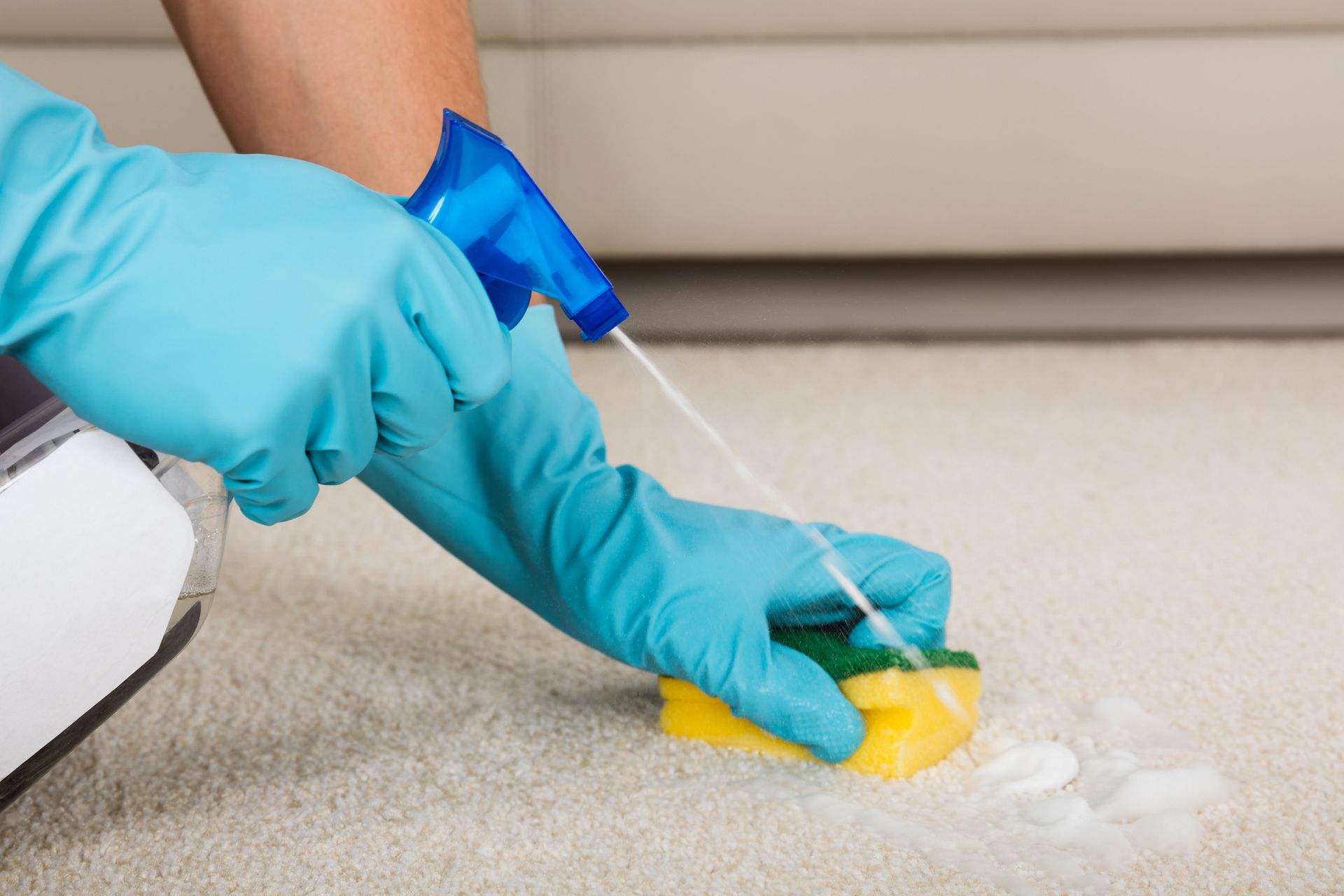 Ace Steam Carpet Cleaning