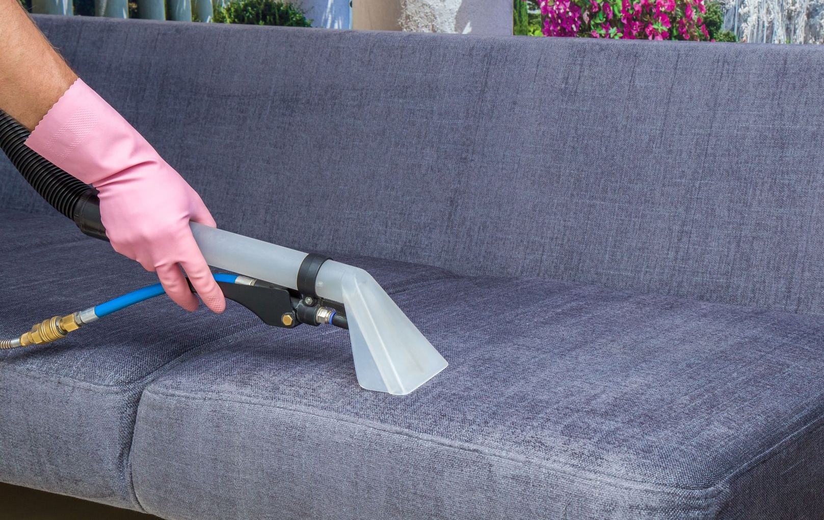 Person in pink gloves cleaning a blue couch with a steam cleaner.
