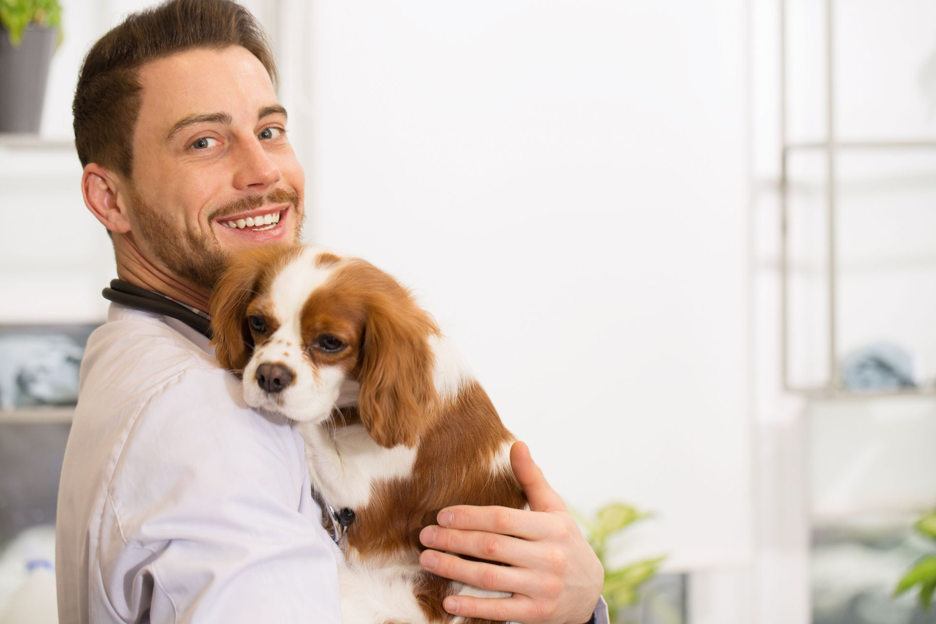 Franklin Veterinary Associates