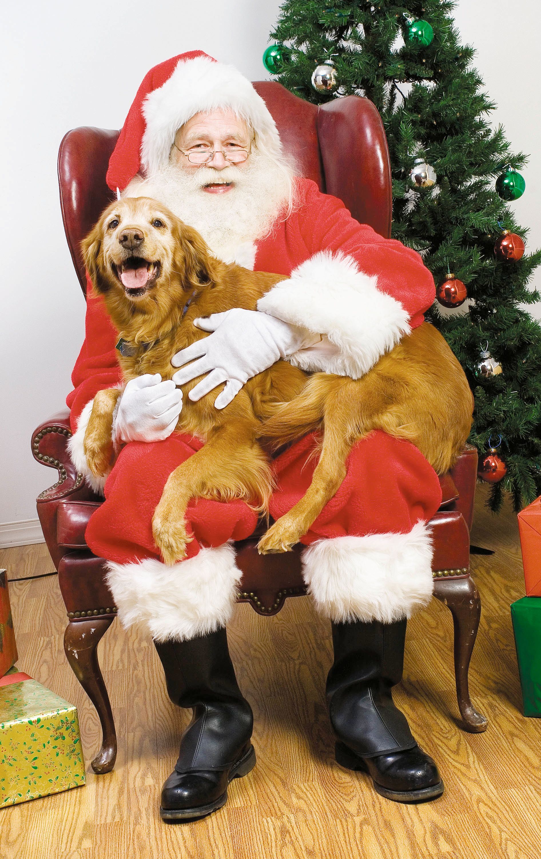 Abstract illustration of two rounded hills with a light circle in a gray sky.