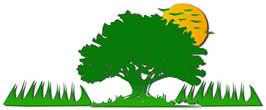 Green tree silhouette on grass with an orange sun behind it