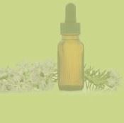 A bottle of essential oil with a dropper on a green background.