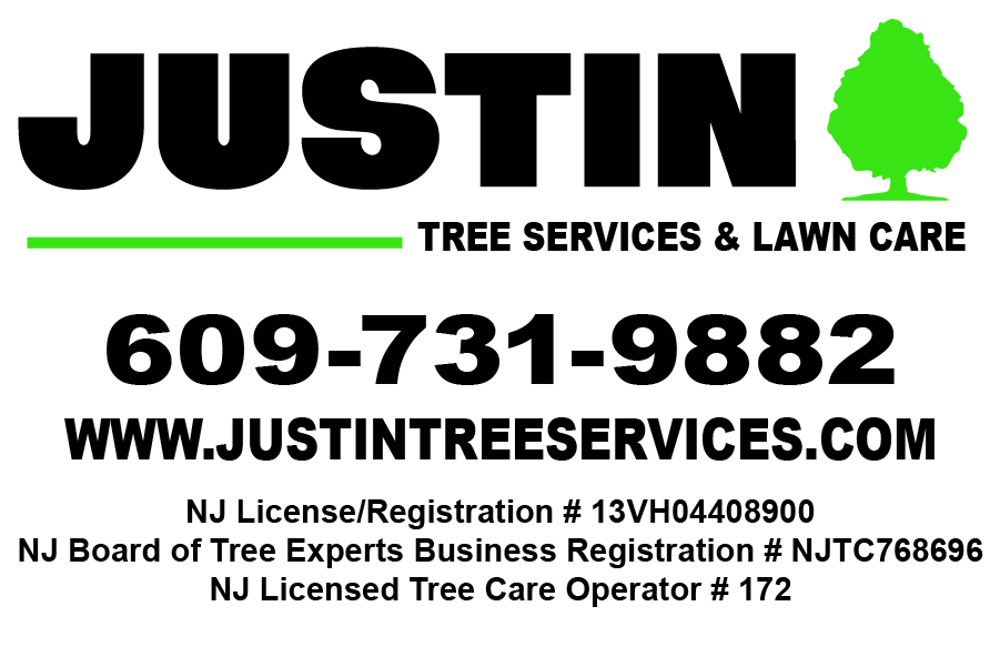 Justin Tree Services - Logo