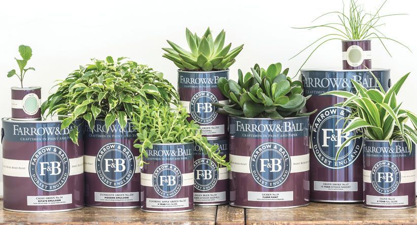Various plants in repurposed burgundy paint cans on a wooden surface. The cans have logos and labels.