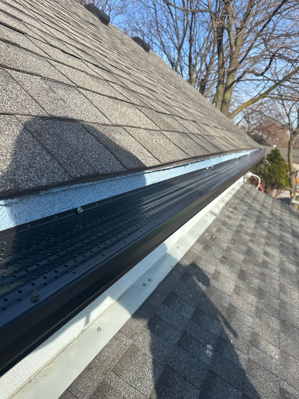 Gonzalez Gutters