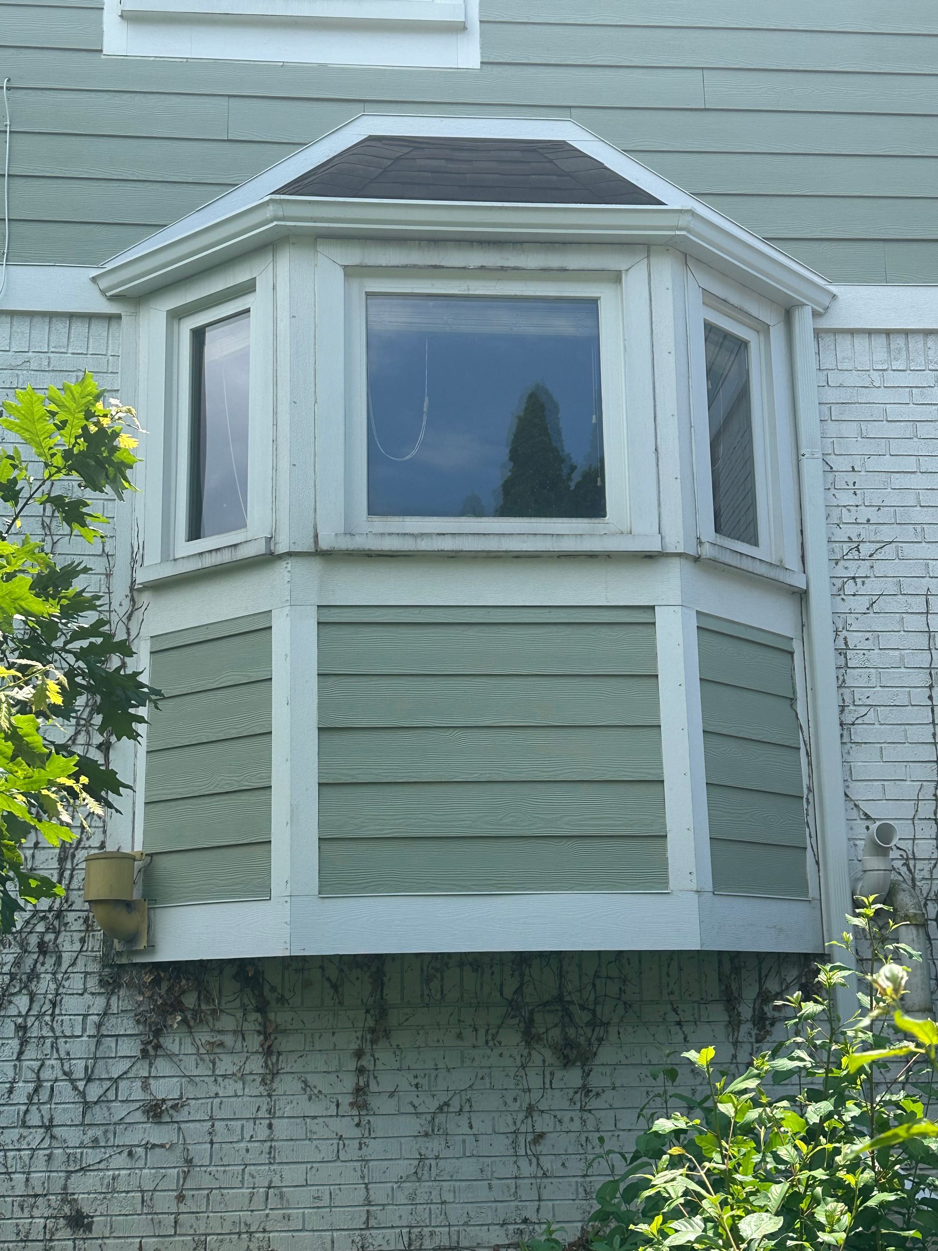 Bay window with green siding, surrounded by white trim, on a brick building with foliage.