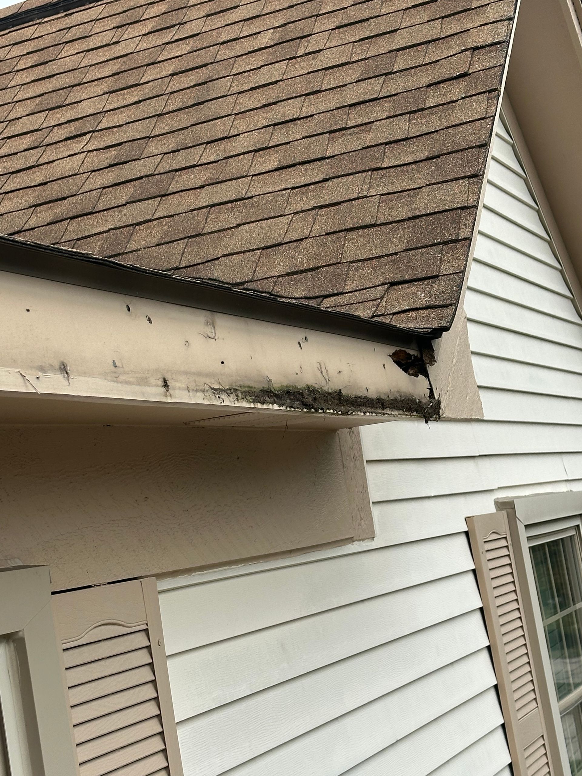 Brown roof edge with damaged fascia and guttering on a white house.