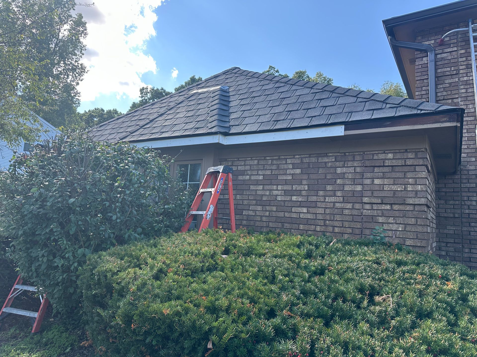 Brick house with dark roof; two ladders leaning against the building. Overgrown bushes in front.
