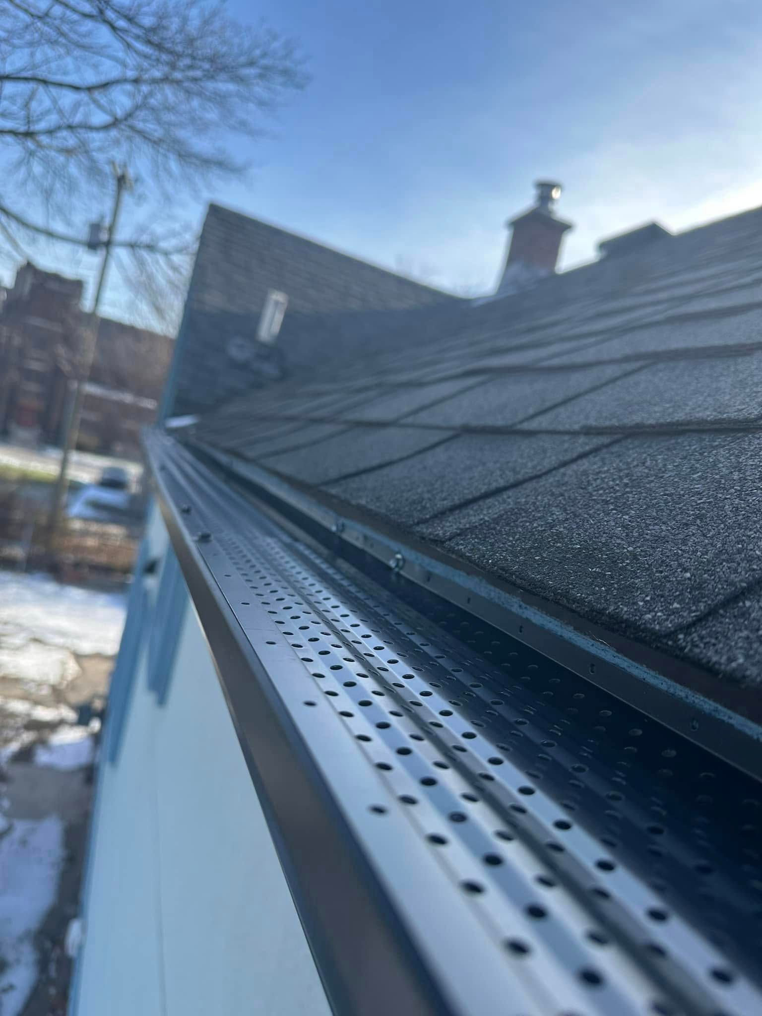 Black gutter guard on a house roof. Blue sky, snow, and bare trees are visible.