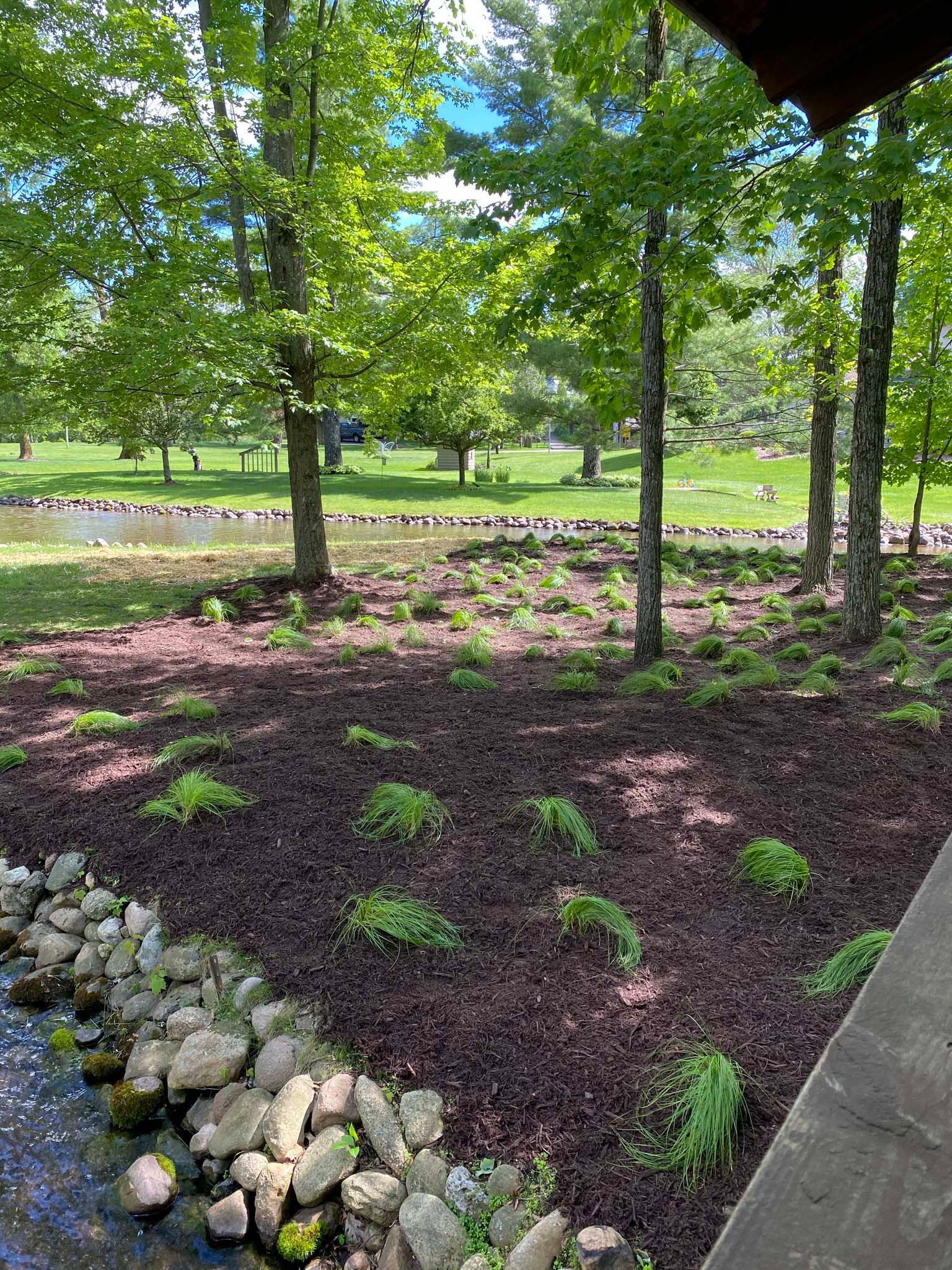 A stream running through a park surrounded by trees and rocks.