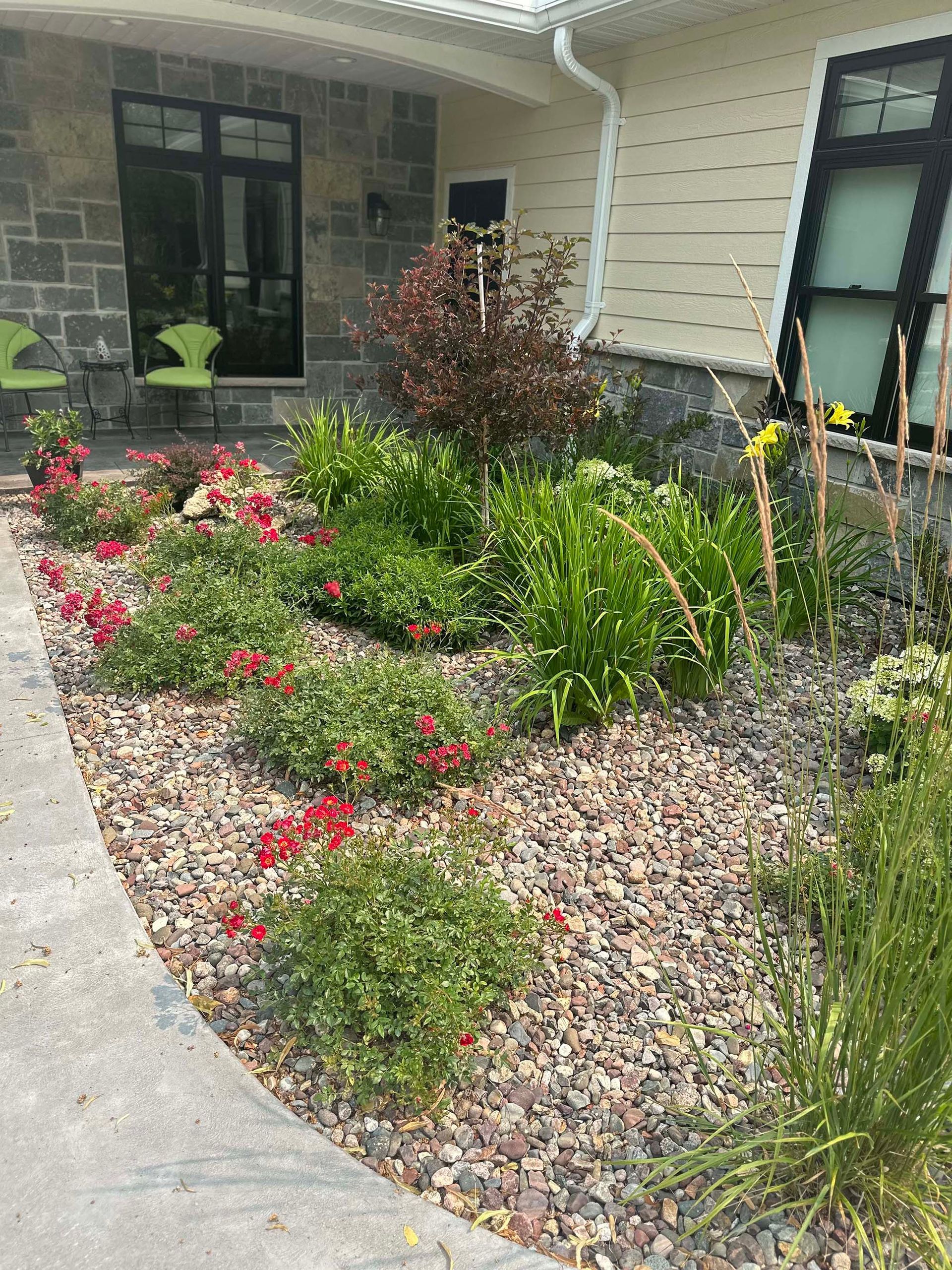 A garden with flowers and rocks in front of a house.