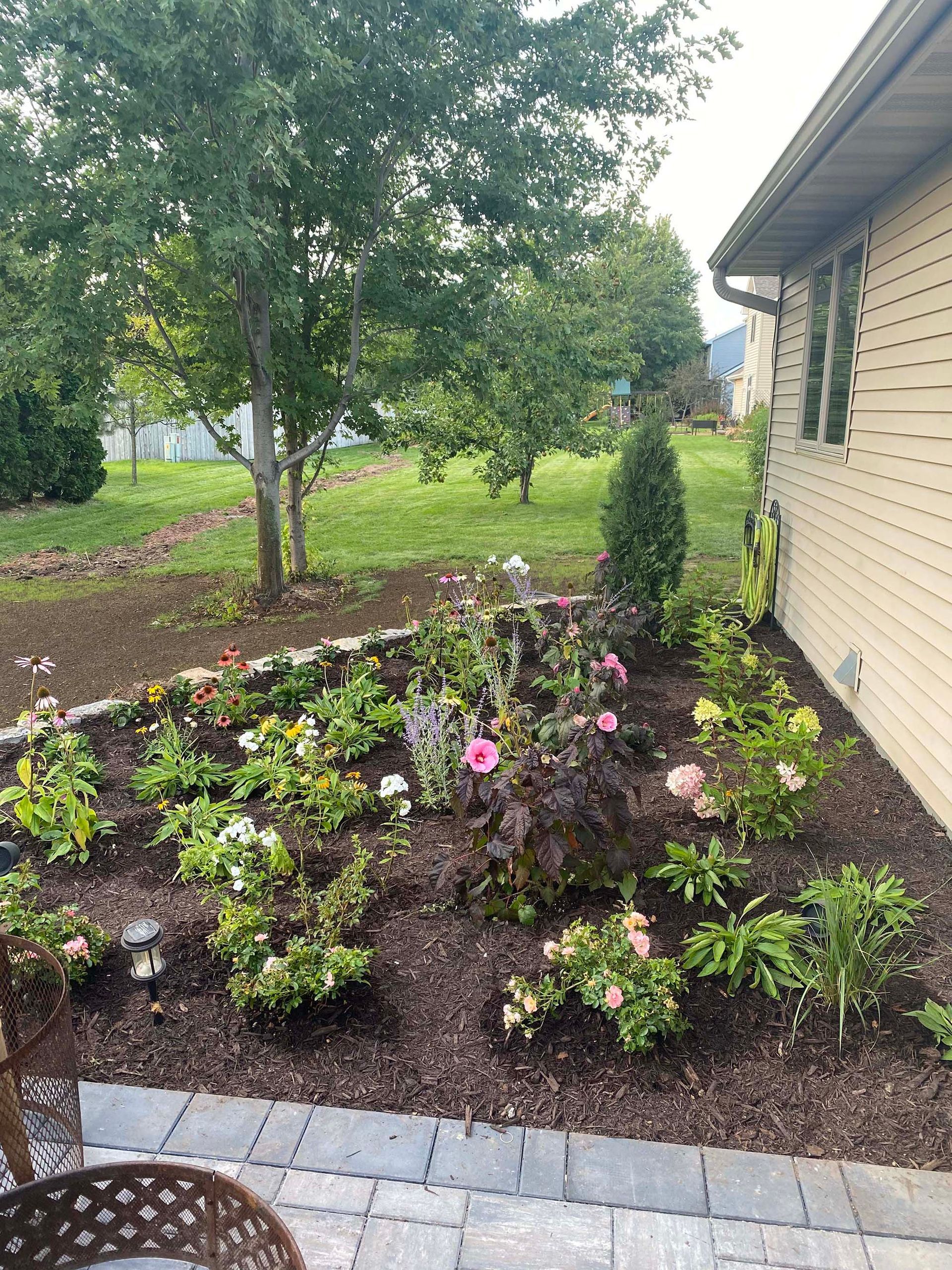 A garden with flowers and trees in front of a house