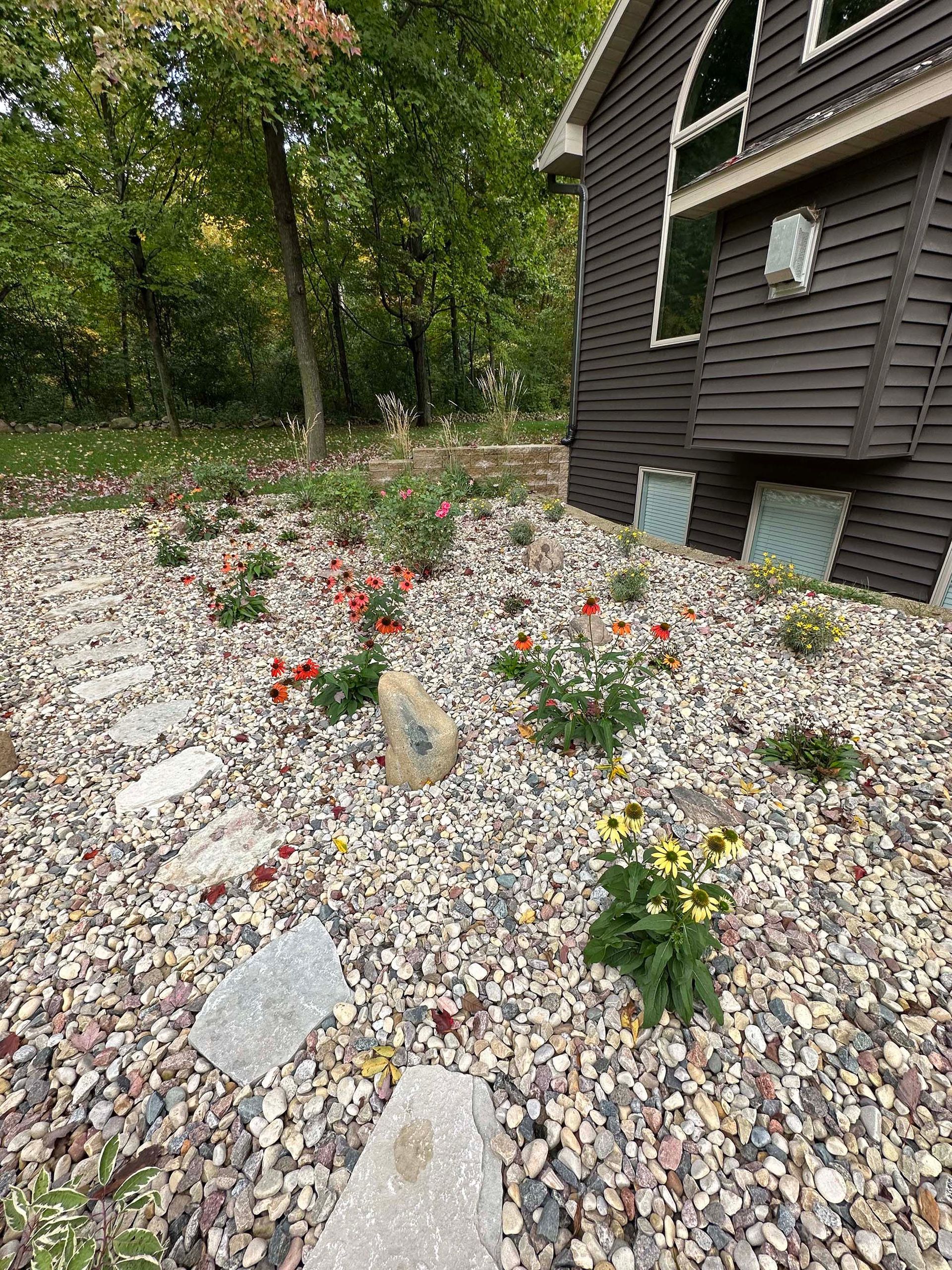 A gravel garden with flowers and rocks in front of a house.