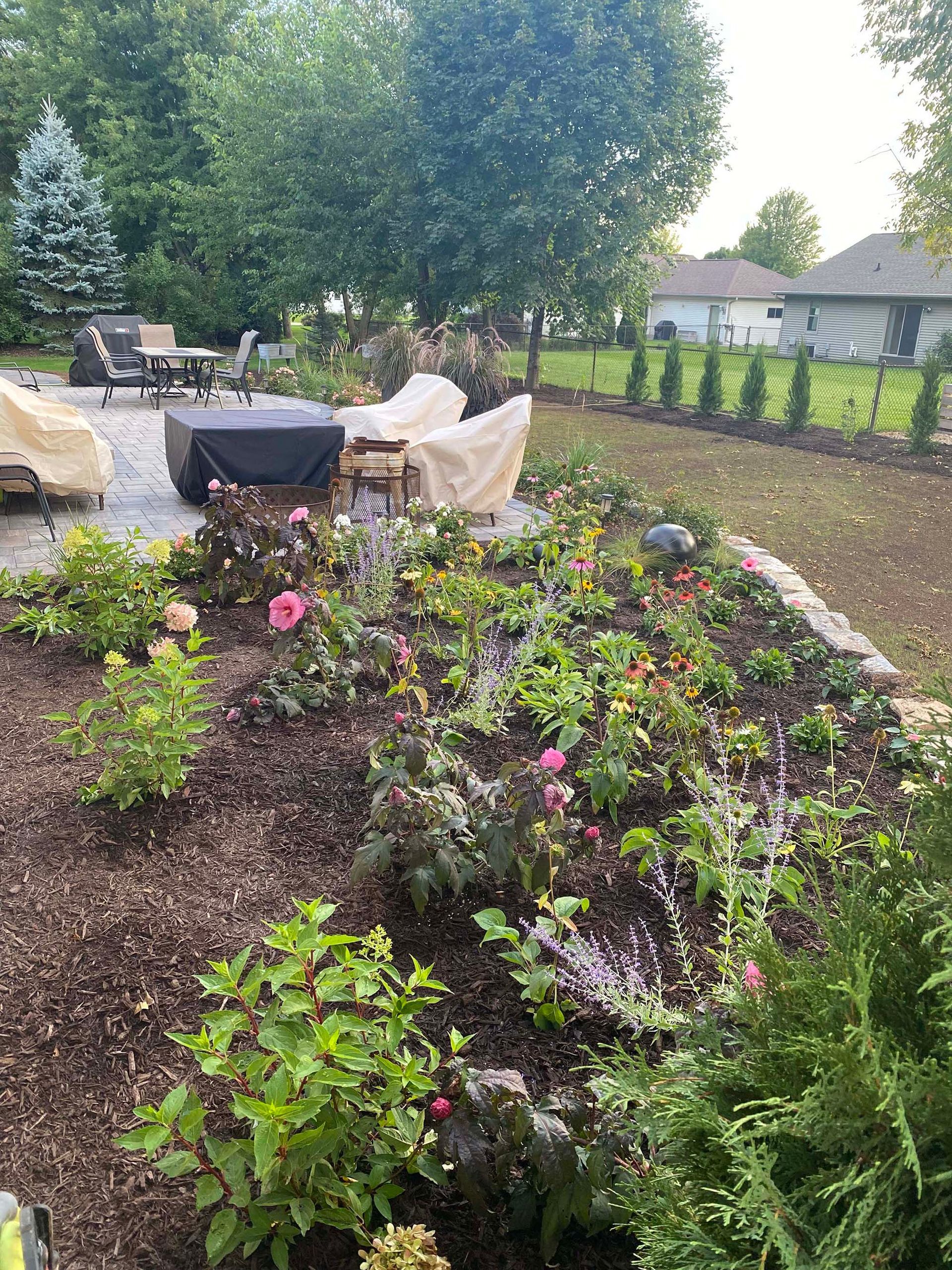A backyard filled with lots of plants and flowers.