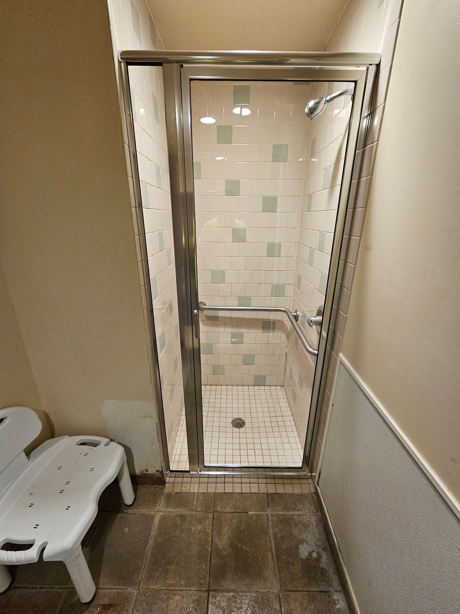 A bathroom with a walk in shower and a toilet.