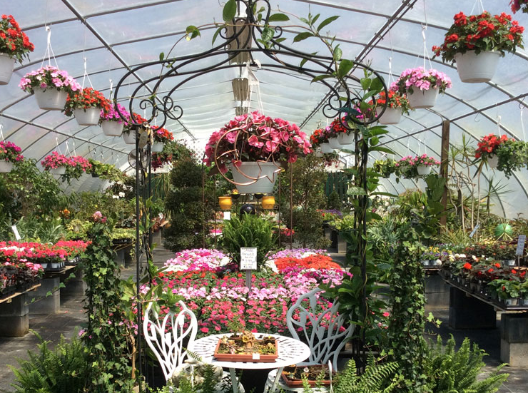 An Eastridge Garden image