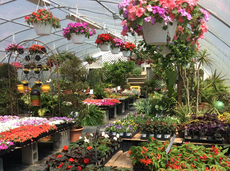 An Eastridge Garden Sales and Special Events | Centreville MD